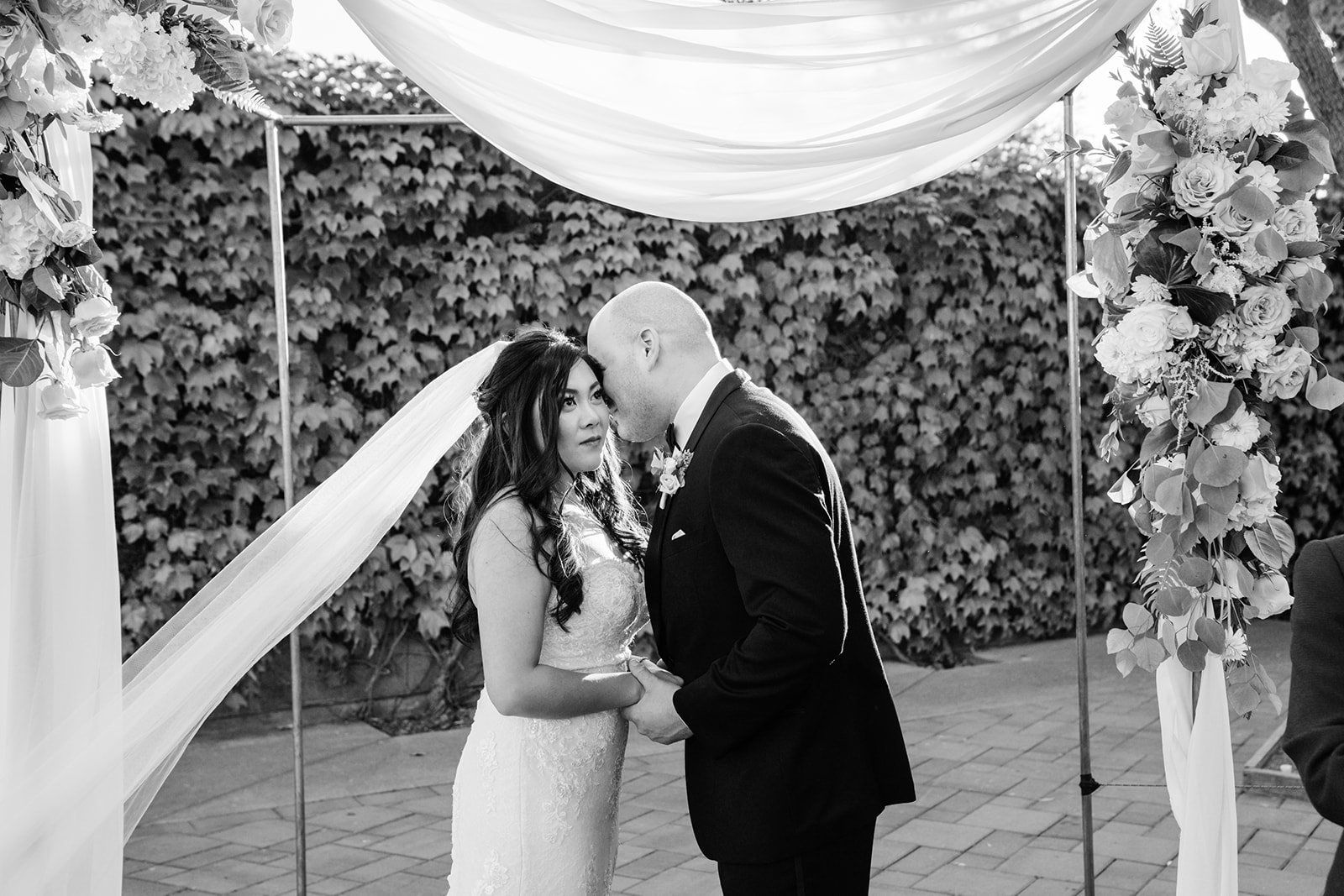 vineyard wedding at viansa in sonoma, The Ceremony in the Viansa Ivy Courtyard