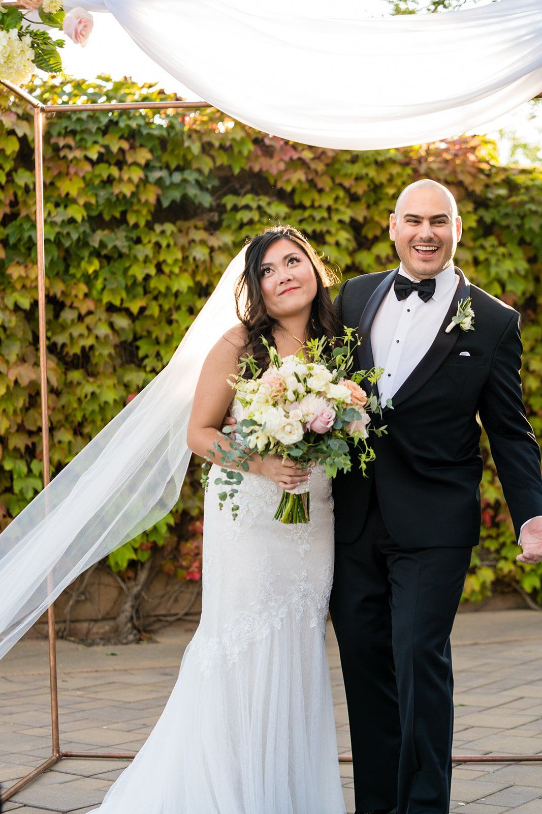vineyard wedding with the dog as greeter at viansa sonoma, Family Photos and the Vineyard