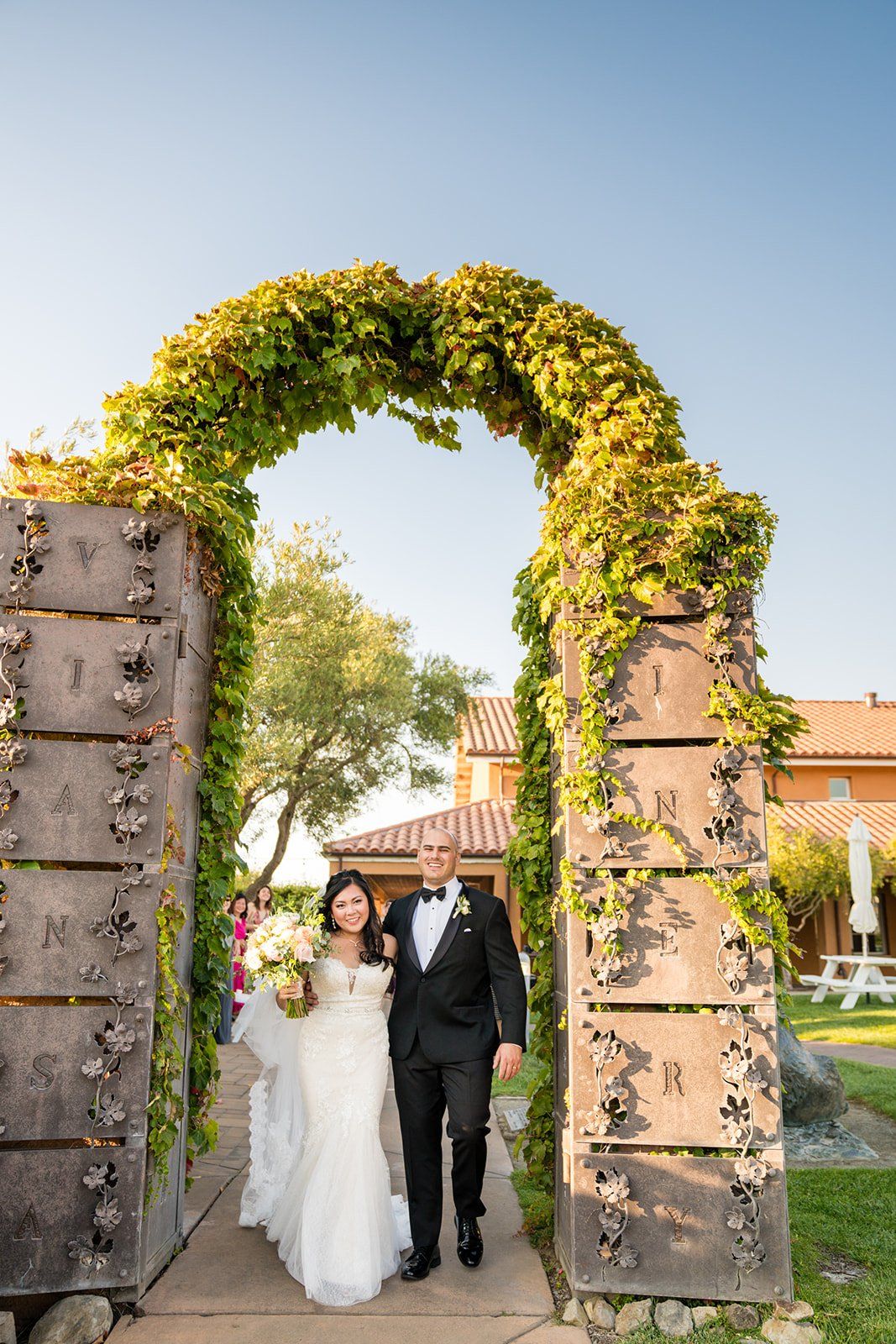 vineyard wedding at viansa in sonoma, Portraits Across the Viansa Vineyard