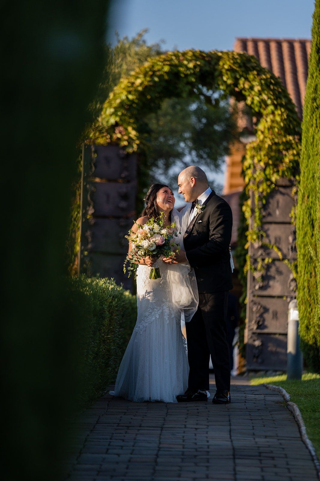 vineyard wedding with the dog as greeter at viansa sonoma, Family Photos and the Vineyard