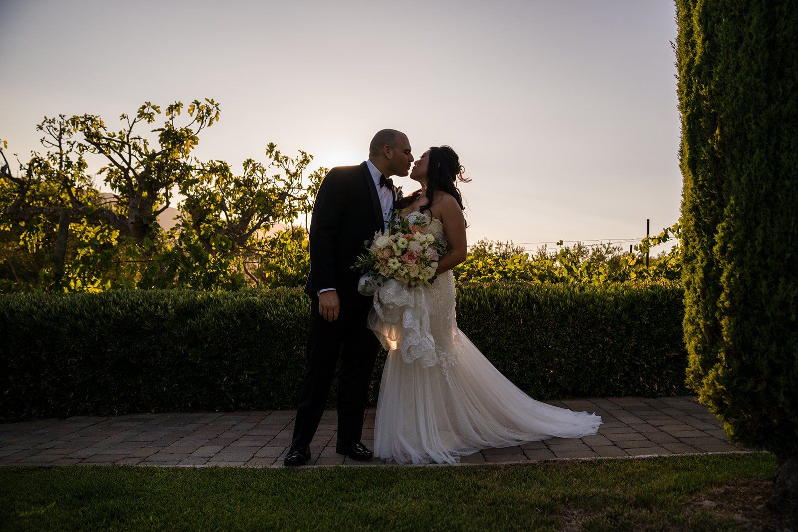 vineyard wedding at viansa in sonoma, Portraits Across the Viansa Vineyard