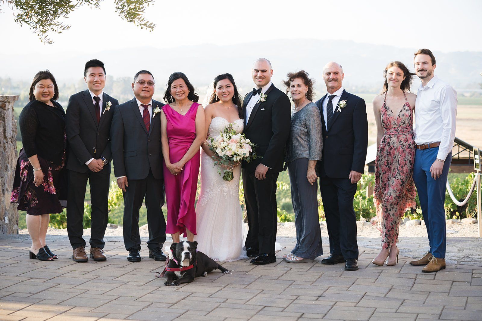 vineyard wedding at viansa in sonoma, Portraits Across the Viansa Vineyard