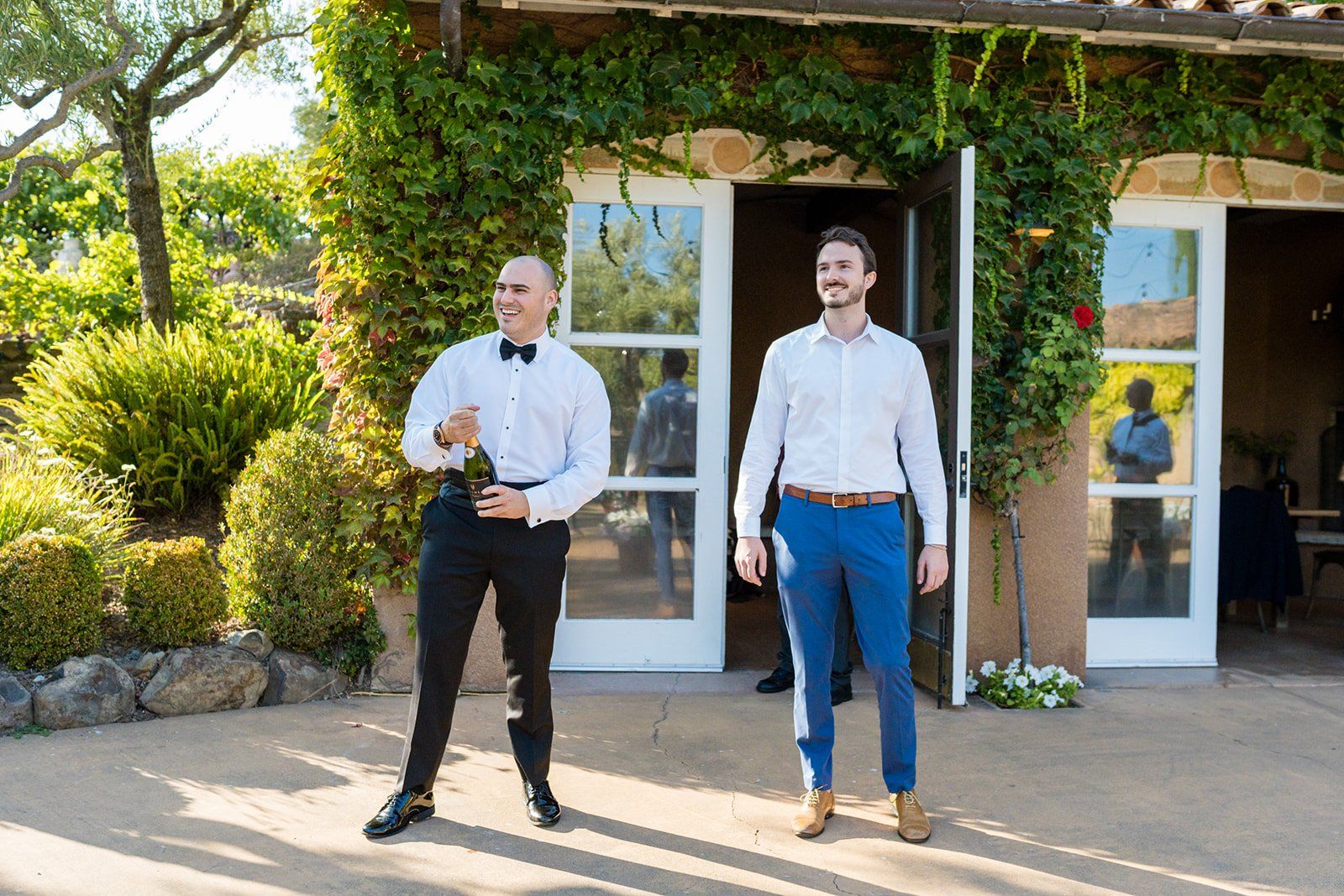 vineyard wedding with the dog as greeter at viansa sonoma, Family Photos and the Vineyard