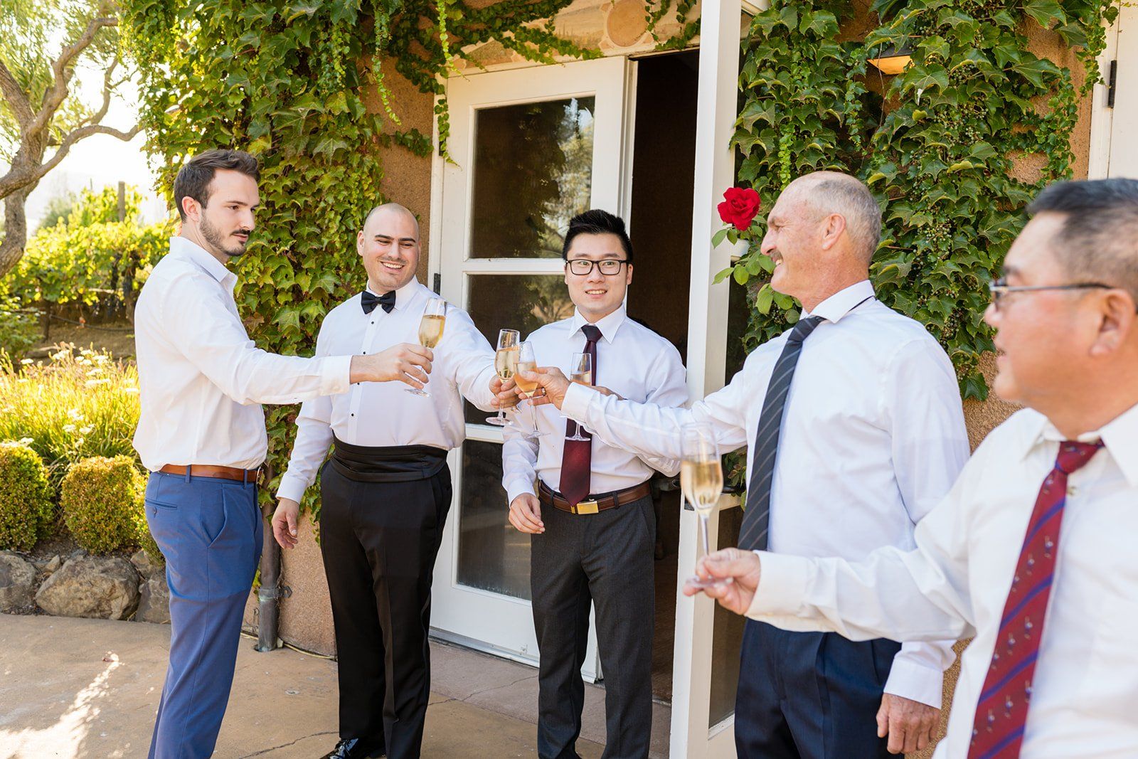 vineyard wedding with the dog as greeter at viansa sonoma, Dinner at Viansa