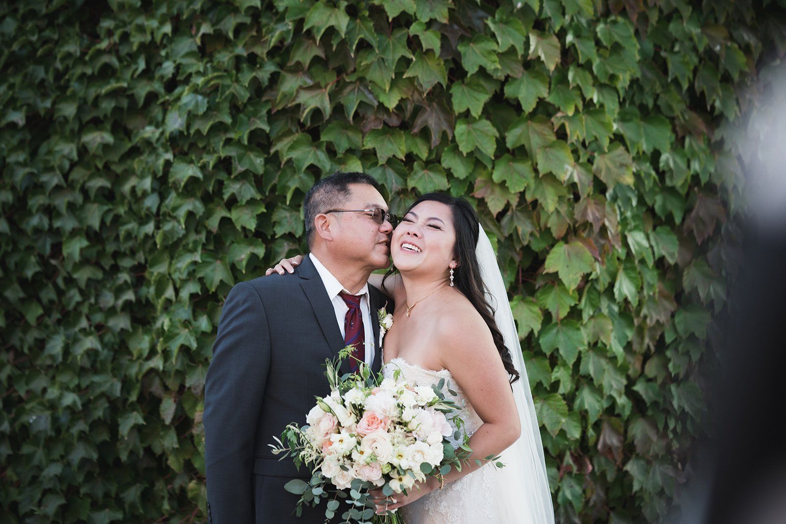 vineyard wedding with the dog as greeter at viansa sonoma, Family Photos and the Vineyard