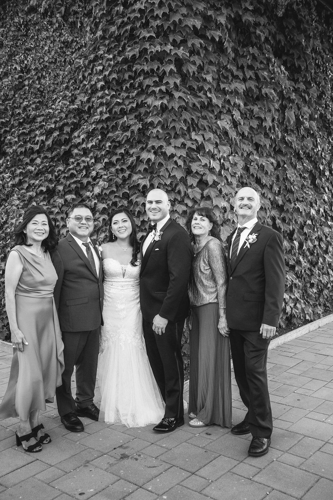 vineyard wedding at viansa in sonoma, Portraits Across the Viansa Vineyard