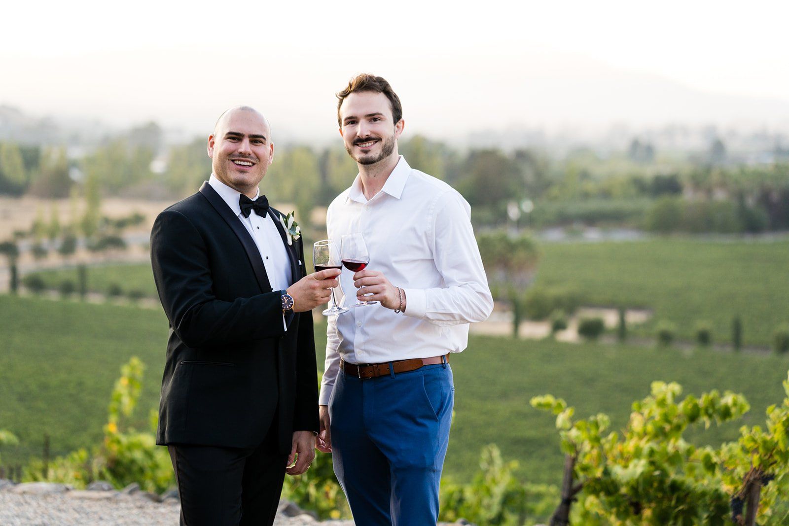 vineyard wedding with the dog as greeter at viansa sonoma, Family Photos and the Vineyard