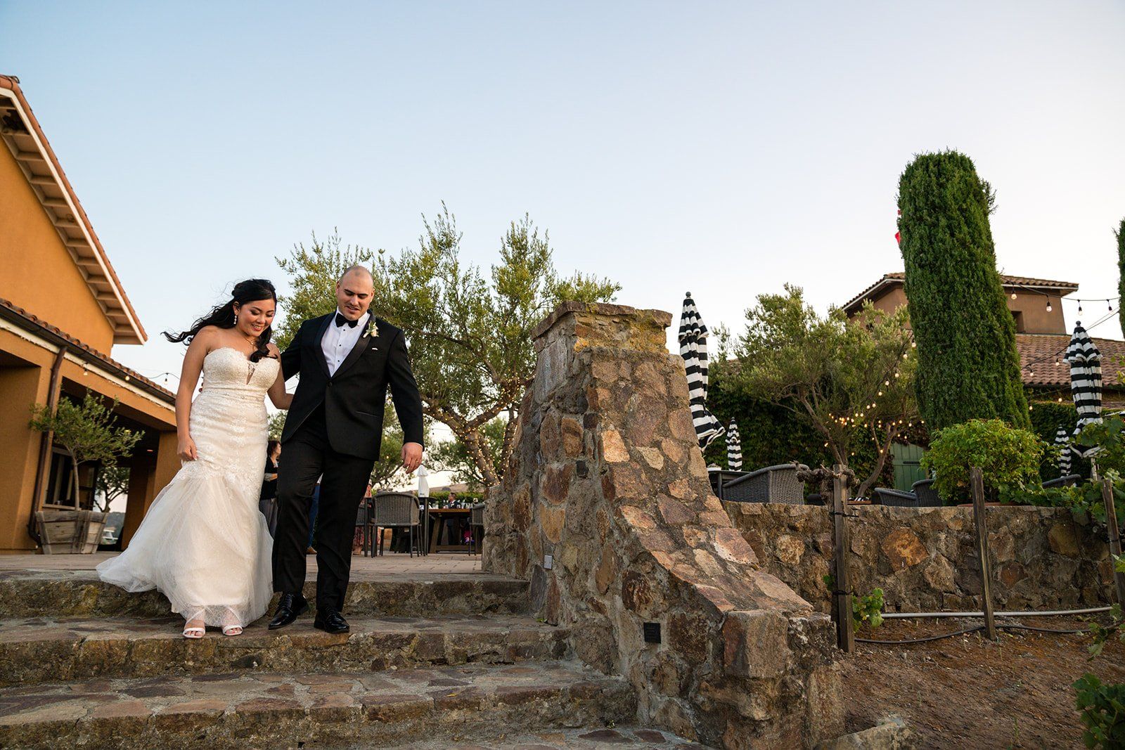 vineyard wedding with the dog as greeter at viansa sonoma, Family Photos and the Vineyard