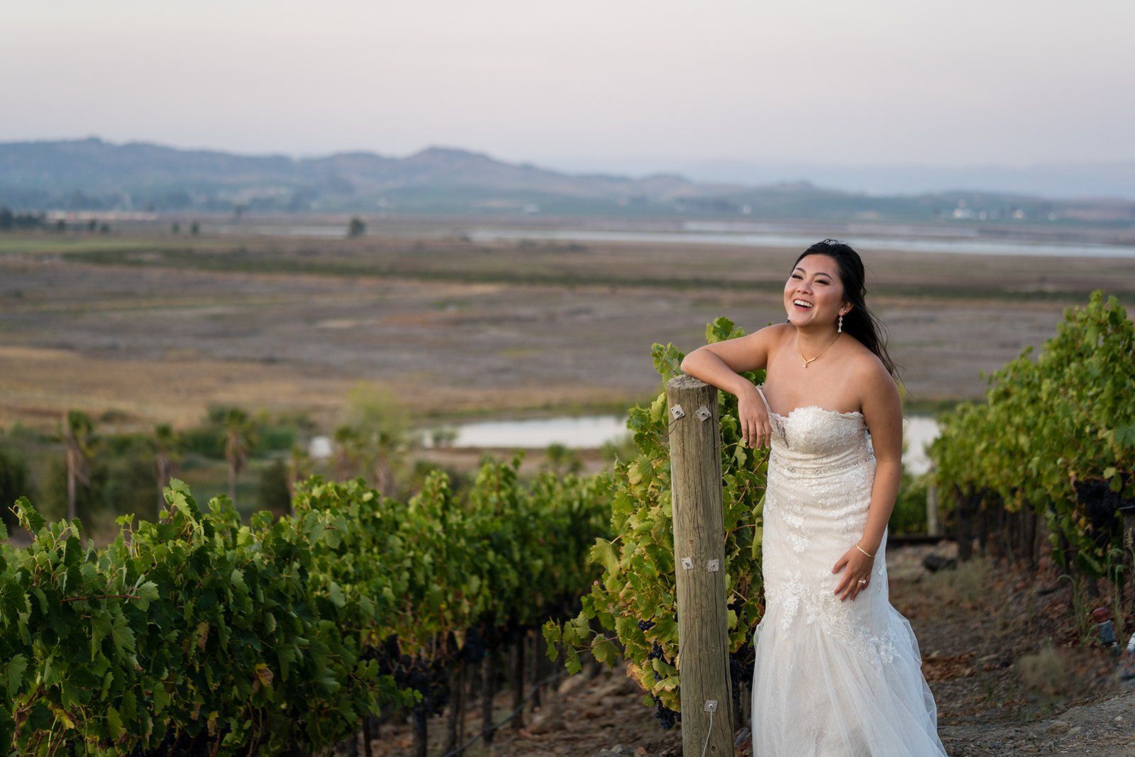 vineyard wedding with the dog as greeter at viansa sonoma, Family Photos and the Vineyard