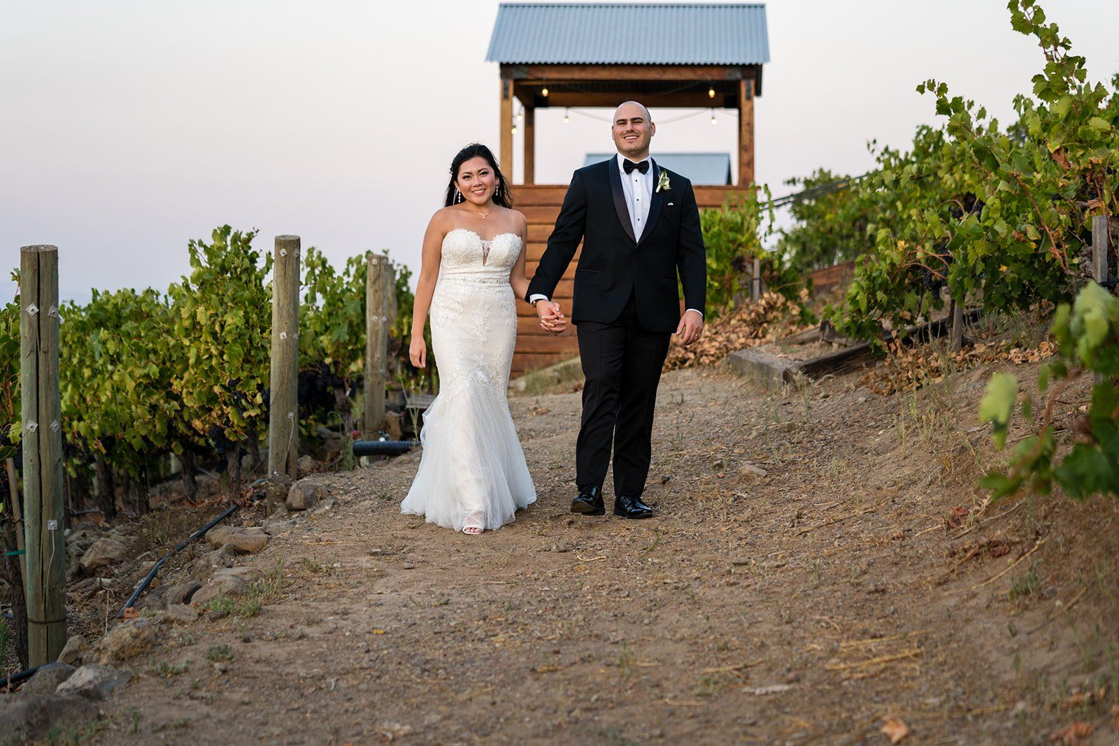 vineyard wedding with the dog as greeter at viansa sonoma, Family Photos and the Vineyard