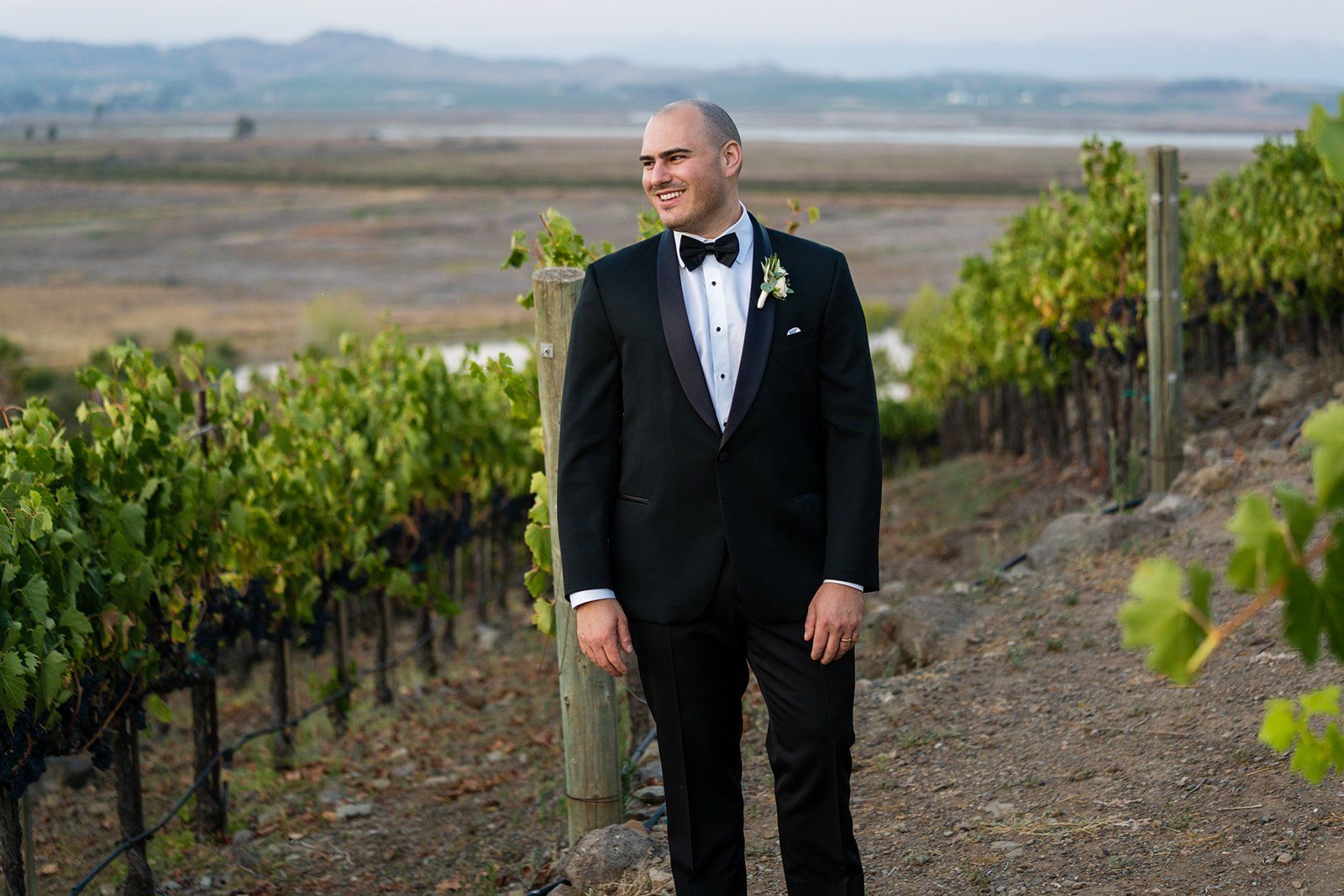 vineyard wedding with the dog as greeter at viansa sonoma, Family Photos and the Vineyard