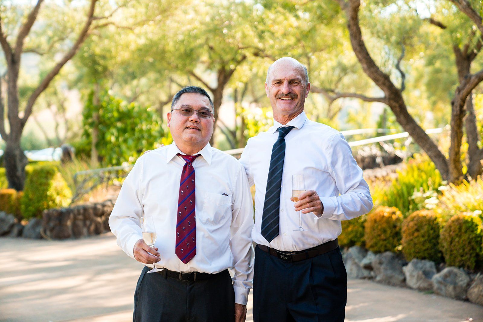 vineyard wedding with the dog as greeter at viansa sonoma, Family Photos and the Vineyard