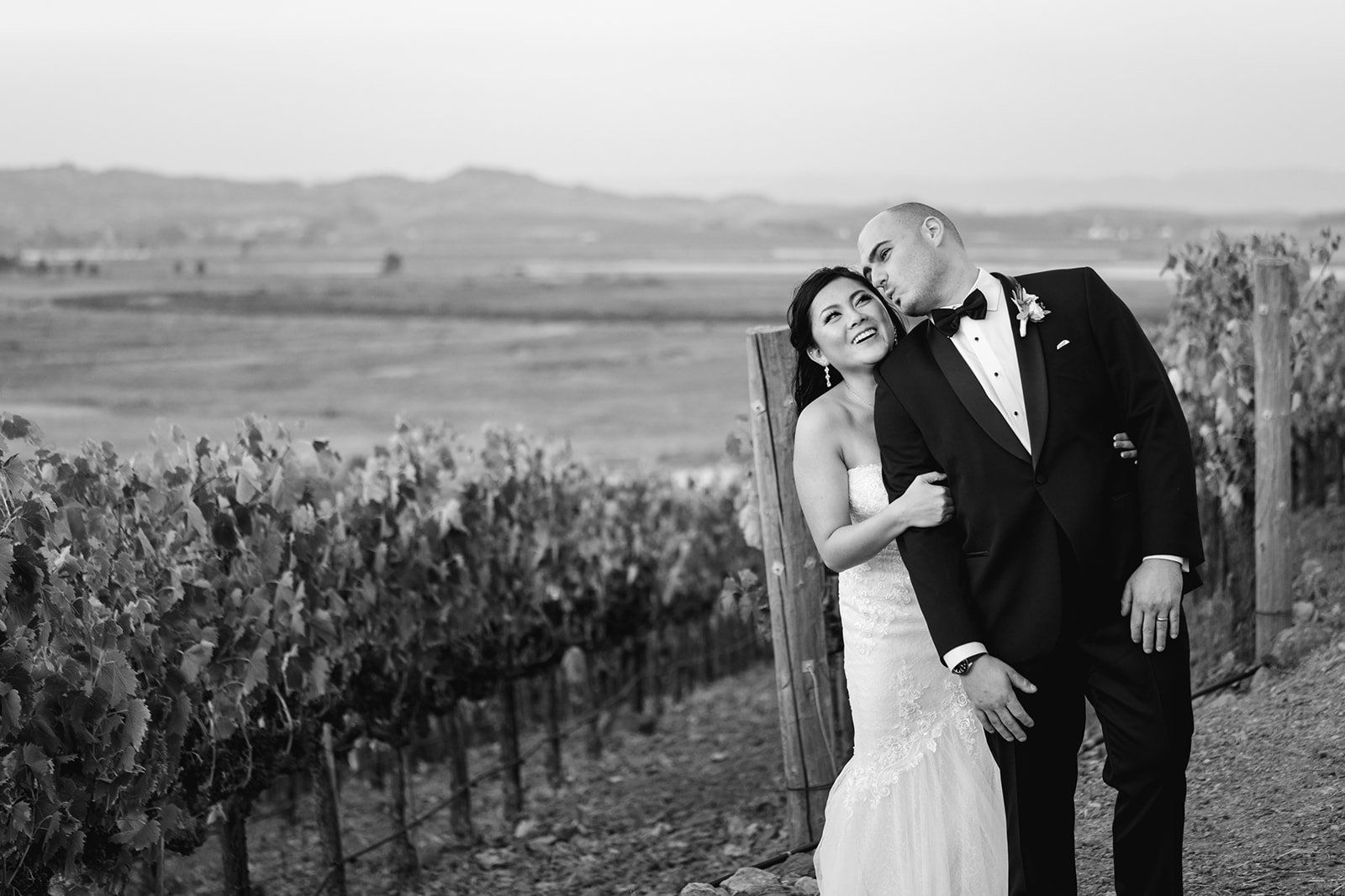 vineyard wedding at viansa in sonoma, Portraits Across the Viansa Vineyard