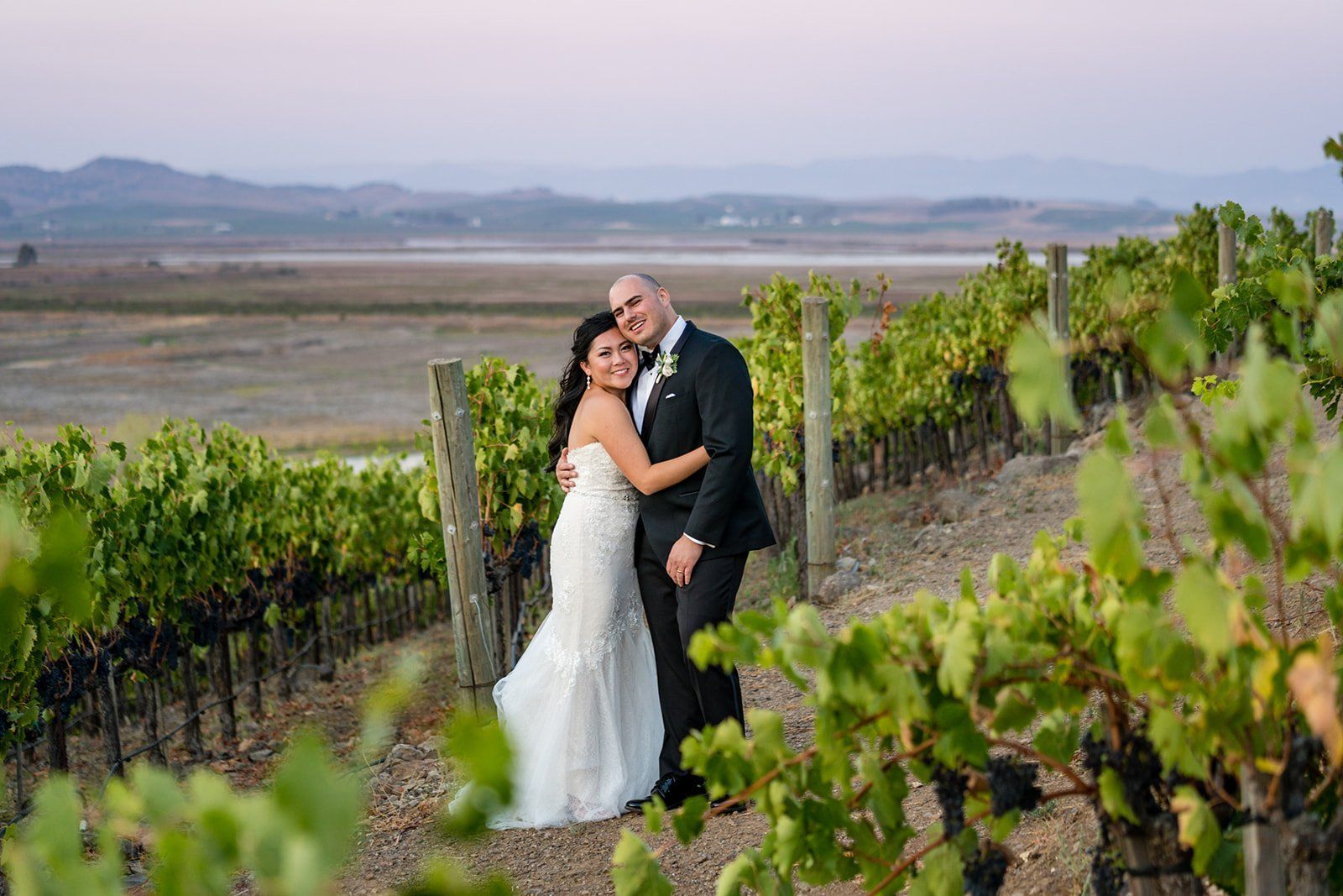 vineyard wedding with the dog as greeter at viansa sonoma, Family Photos and the Vineyard