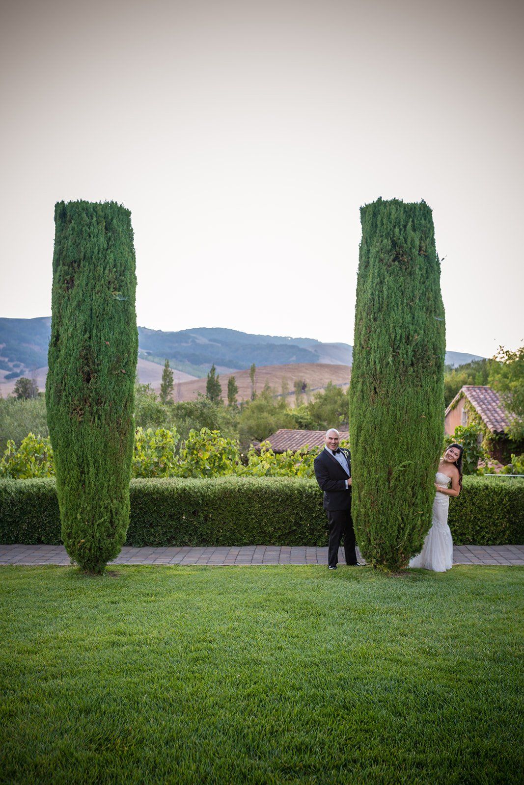 vineyard wedding with the dog as greeter at viansa sonoma, Family Photos and the Vineyard