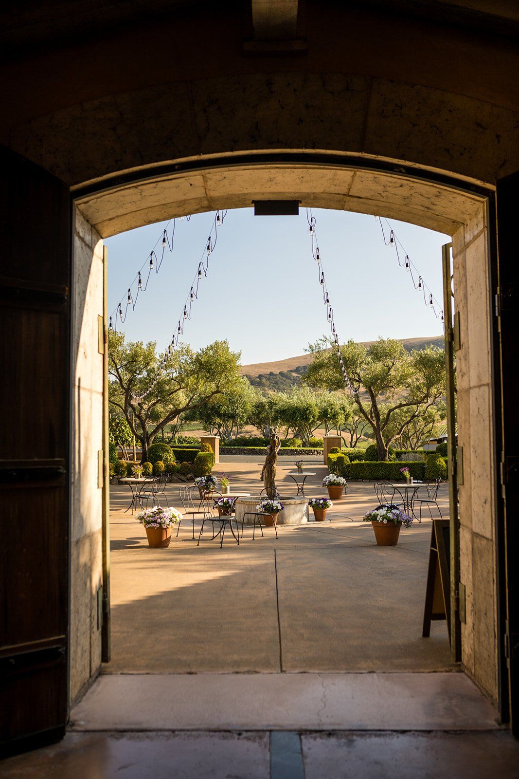 vineyard wedding at viansa in sonoma, Dinner and Dancing at Viansa