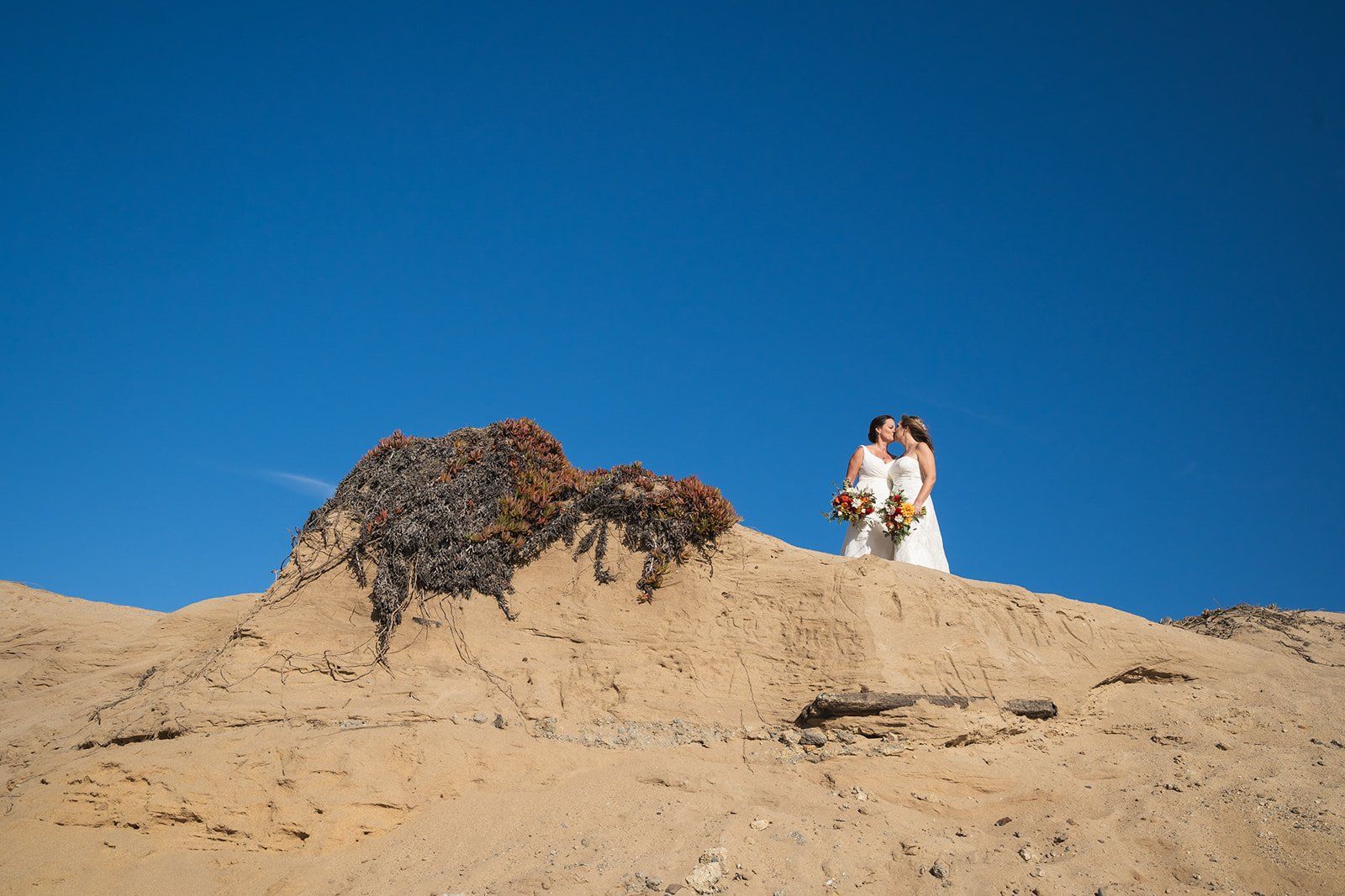 beachfront micro wedding on monterey bay, A Beachfront Ceremony on the Monterey Bay Sand