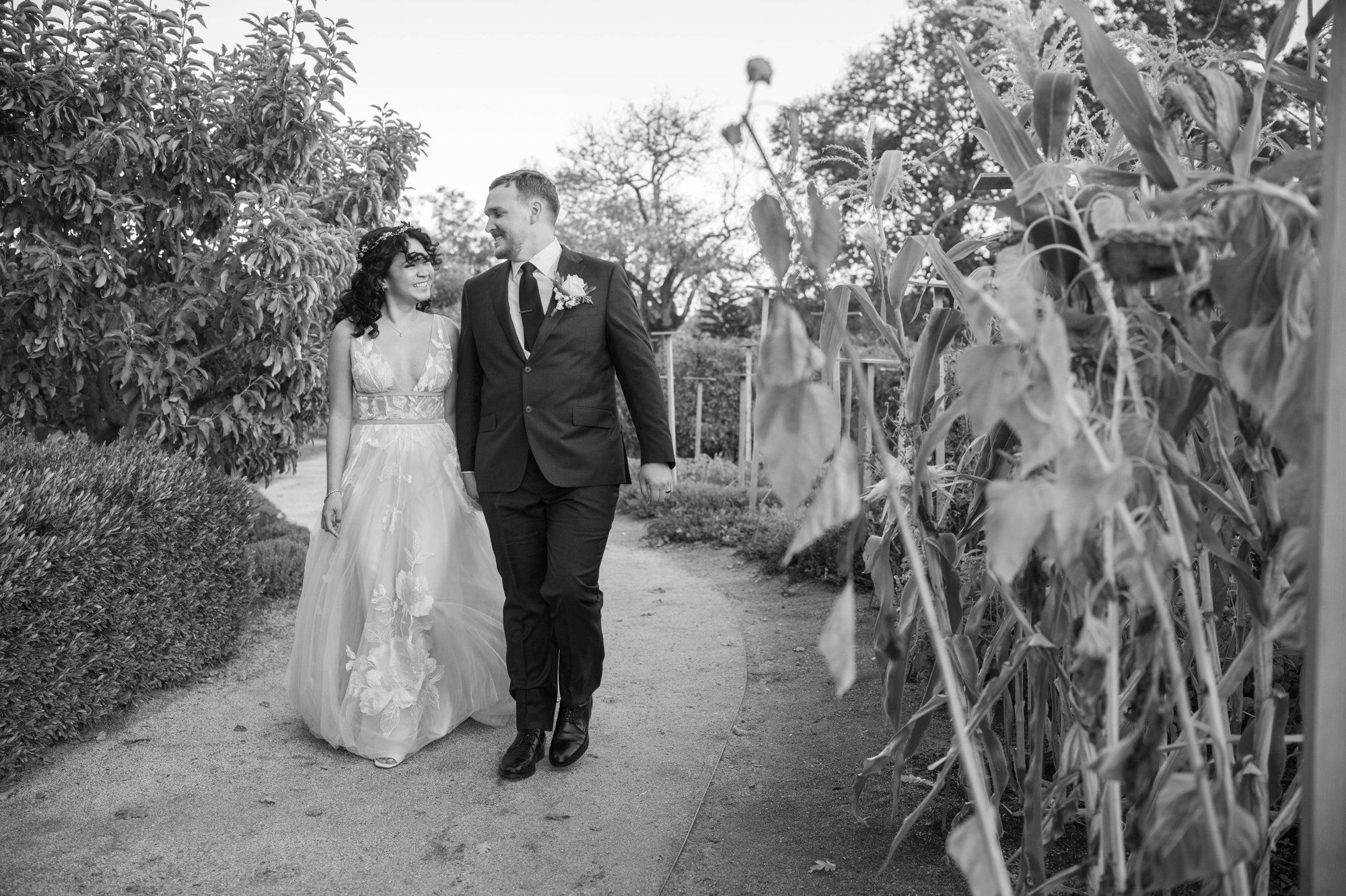 farm-to-table vineyard wedding at farmstead, st helena, Cocktail Hour and Portraits at This 32-Guest Napa Farm Wedding