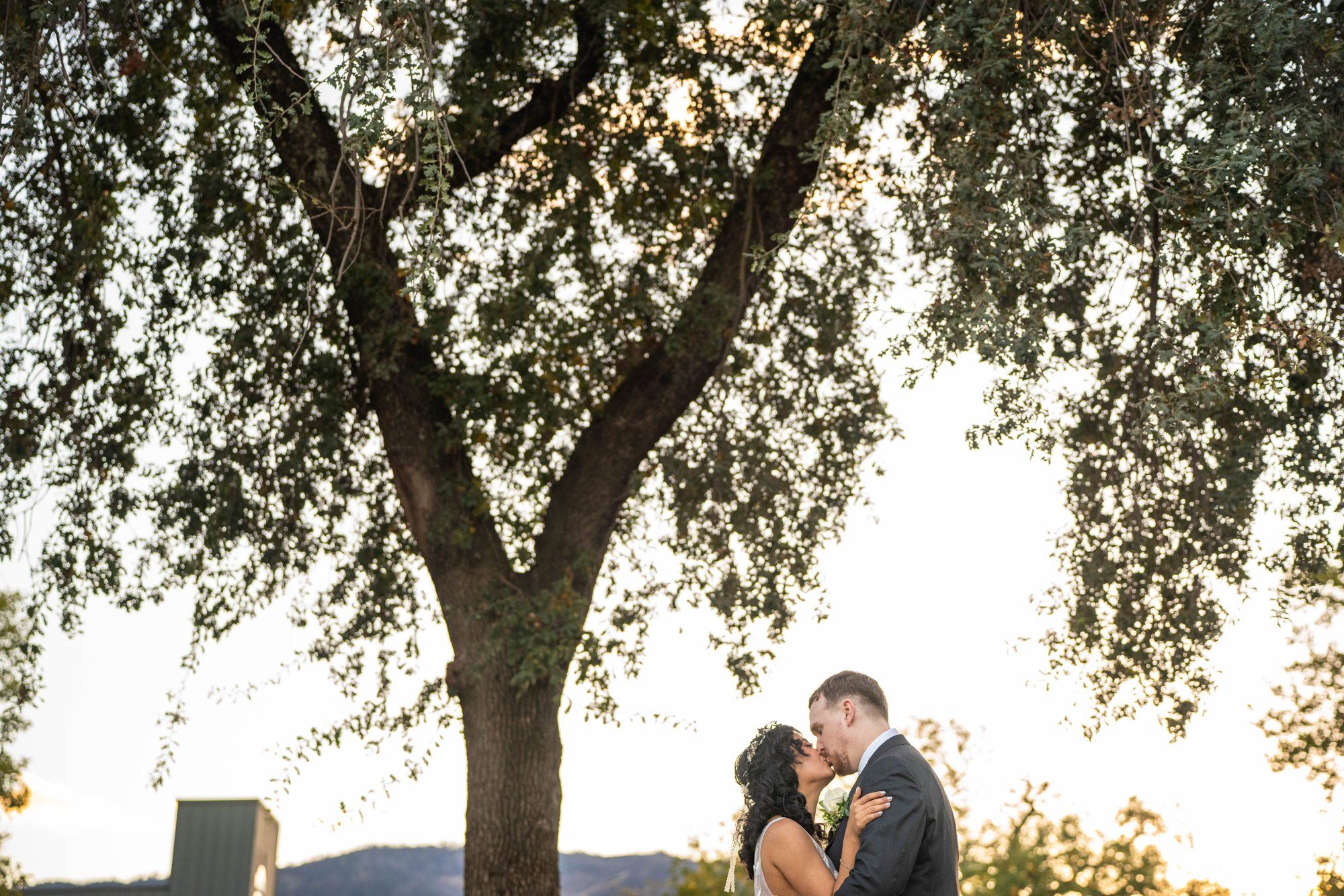 farm-to-table vineyard wedding at farmstead, st helena, Cocktail Hour and Portraits at This 32-Guest Napa Farm Wedding