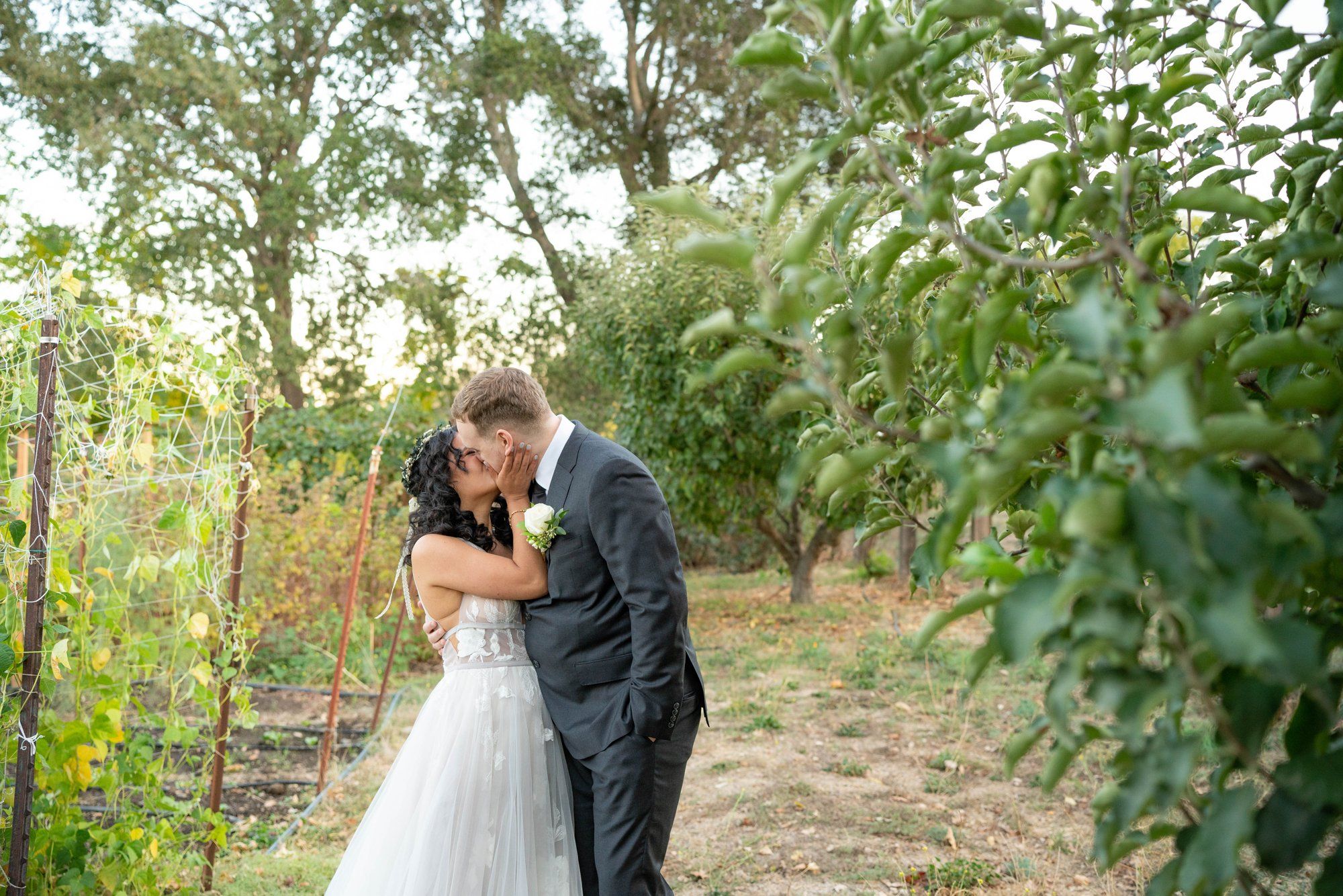 farm-to-table vineyard wedding at farmstead, st helena, Cocktail Hour and Portraits at This 32-Guest Napa Farm Wedding