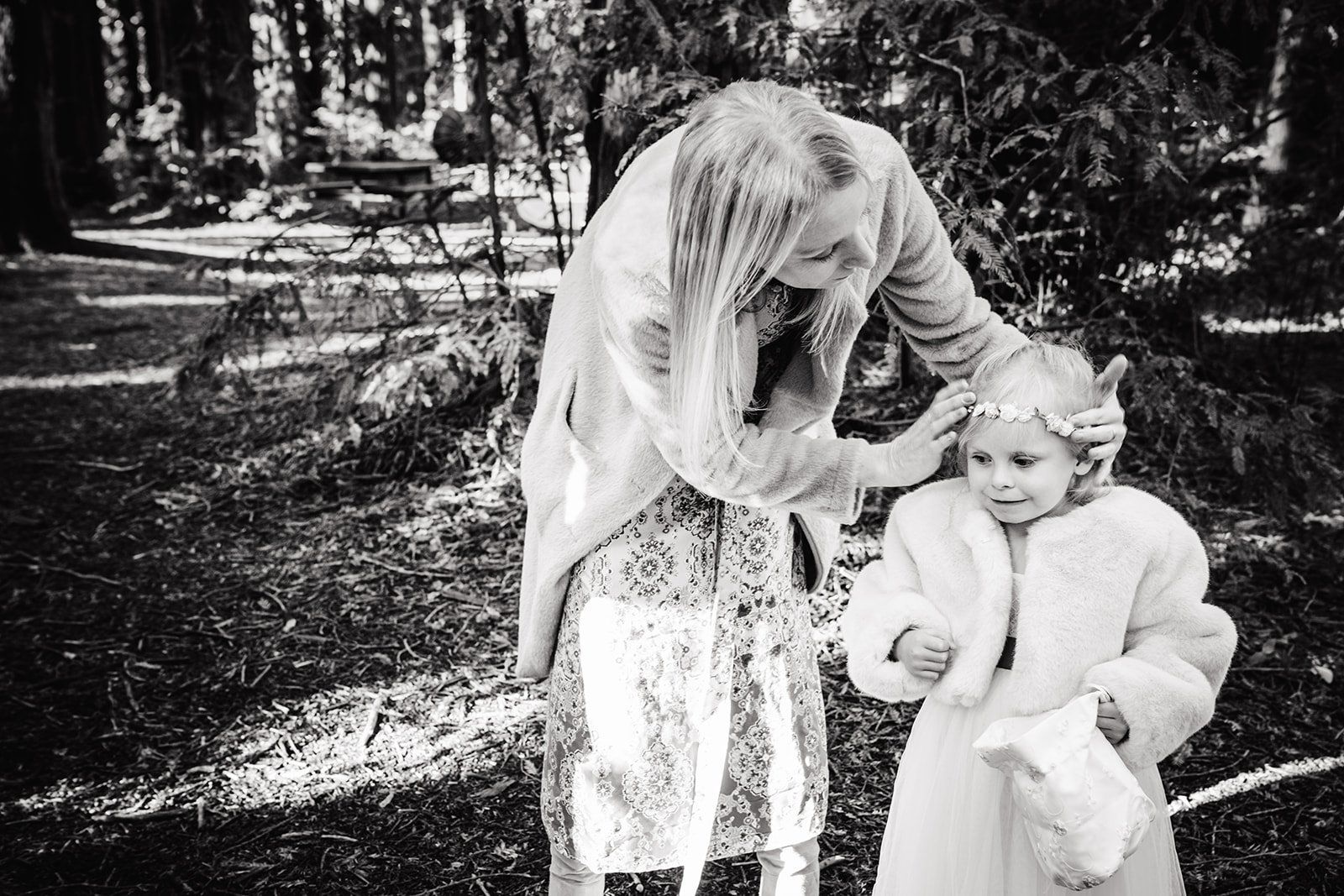 redwoods park ceremony + graduate berkeley reception (with a bus), Portraits and a First Dance in the Grove