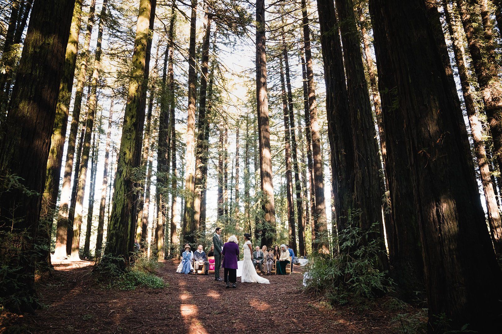 redwoods park ceremony + graduate berkeley reception (with a bus), Under the Redwoods at Roberts Regional, a Two-Venue Berkeley Wedding