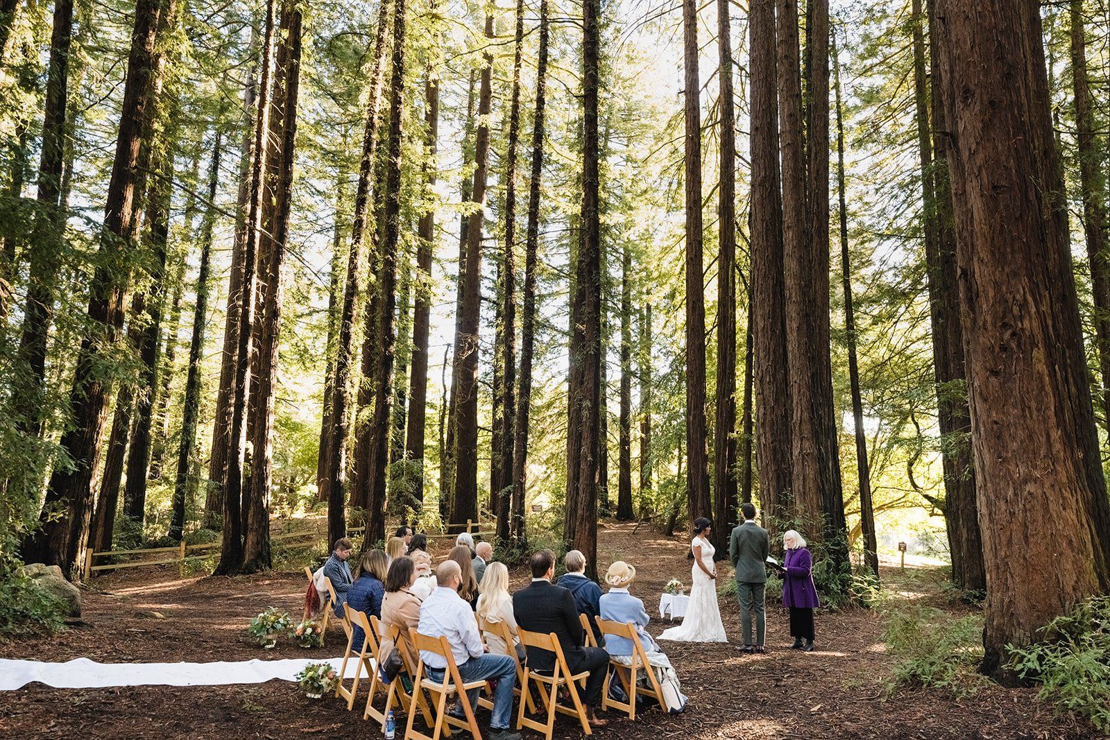 redwoods park ceremony + graduate berkeley reception (with a bus), Under the Redwoods at Roberts Regional, a Two-Venue Berkeley Wedding