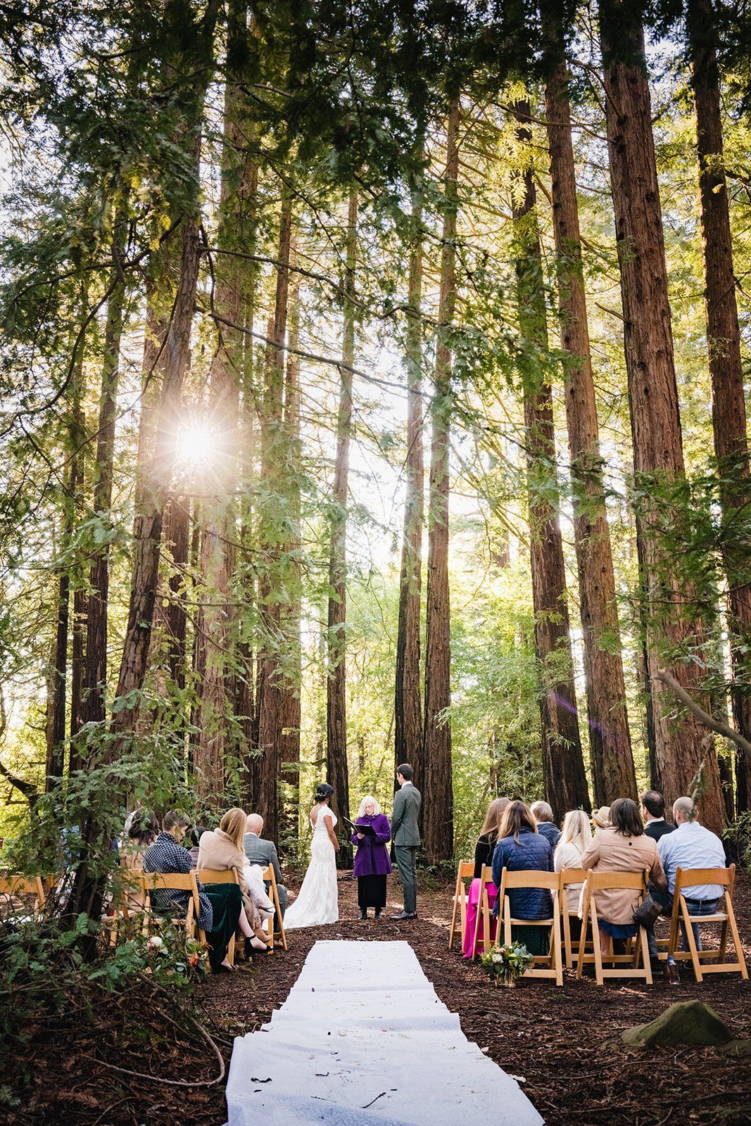 redwoods park ceremony + graduate berkeley reception (with a bus), Under the Redwoods at Roberts Regional, a Two-Venue Berkeley Wedding