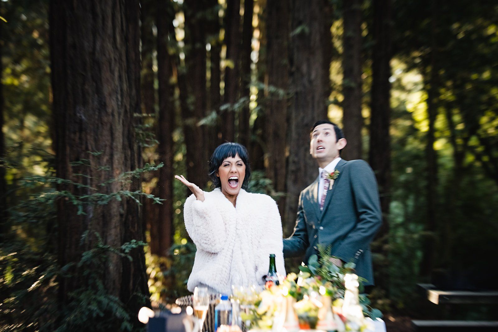 redwoods park ceremony + graduate berkeley reception (with a bus), Dinner in the Durant Room at The Graduate
