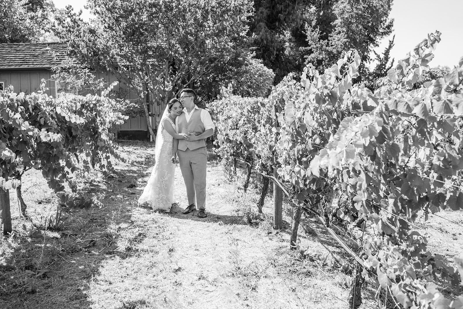 adobe mission vineyard wedding at cline family cellars, Family, Friends, and the Mission Grounds