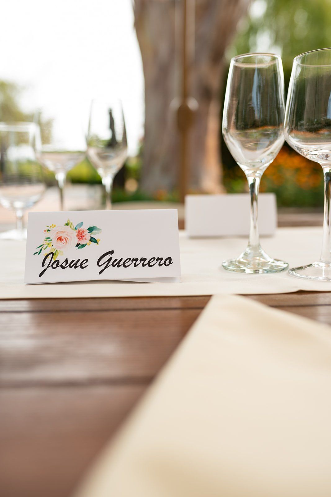 adobe mission vineyard wedding at cline family cellars, Lunch, Toasts, and Cake Under the Trees
