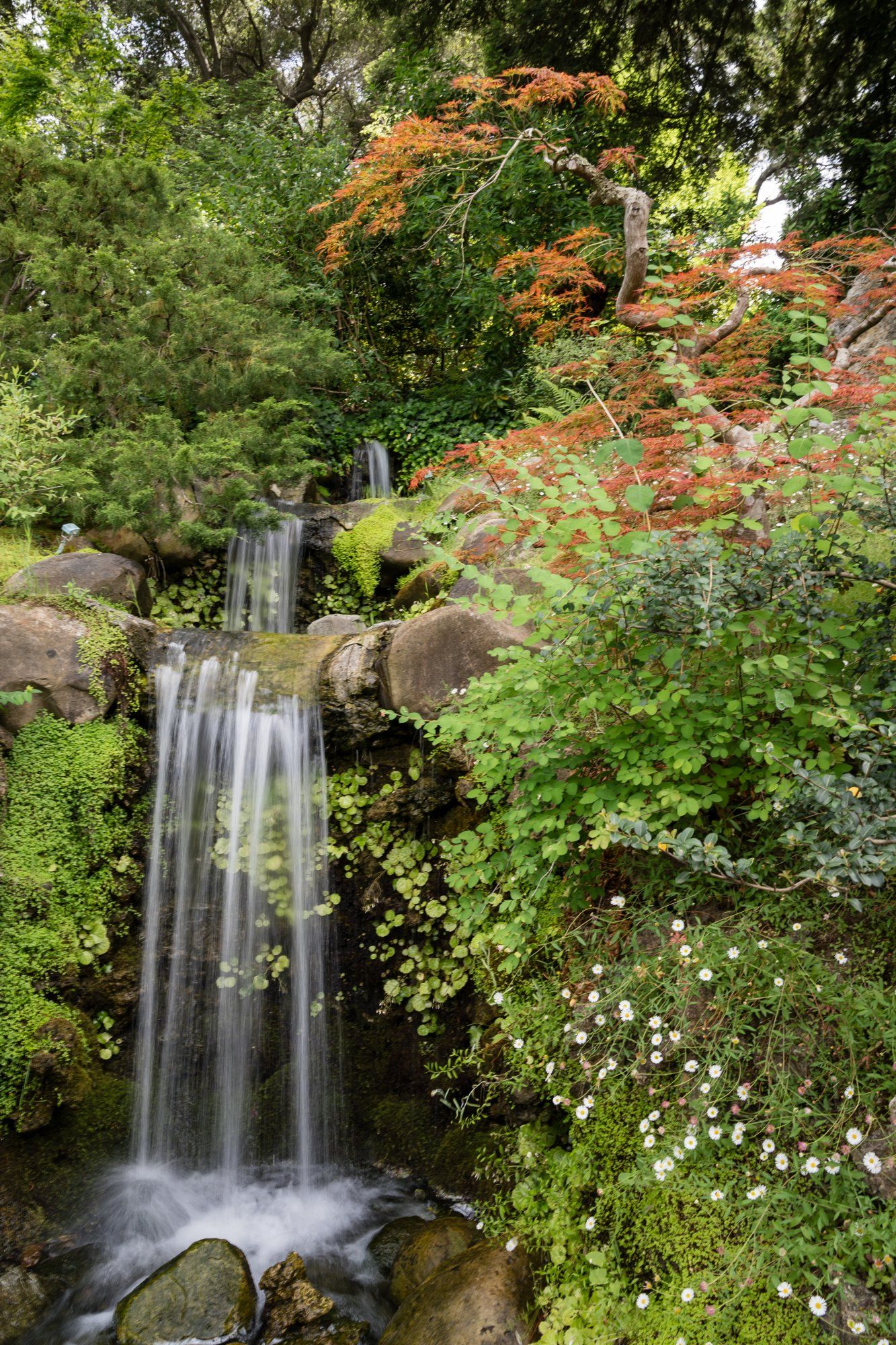 full day in a Japanese garden at Hakone, Married Under the Trees, a Japanese Garden Wedding at Hakone