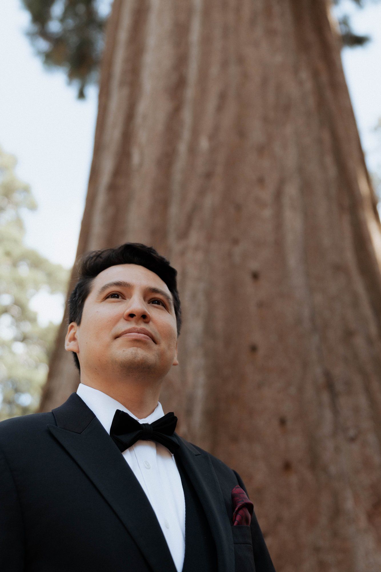 micro wedding in sequoia national park, Family Among the Giant Trees