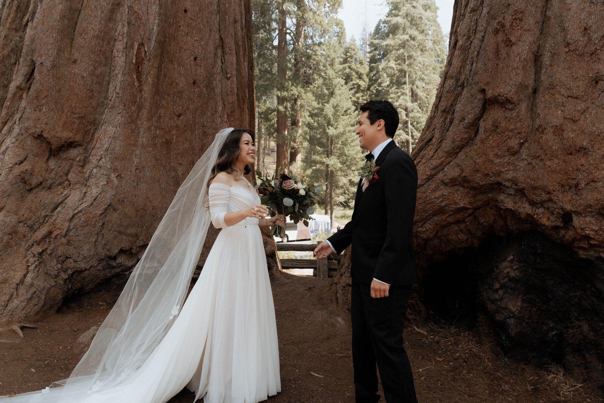 micro wedding in sequoia national park, Family Among the Giant Trees
