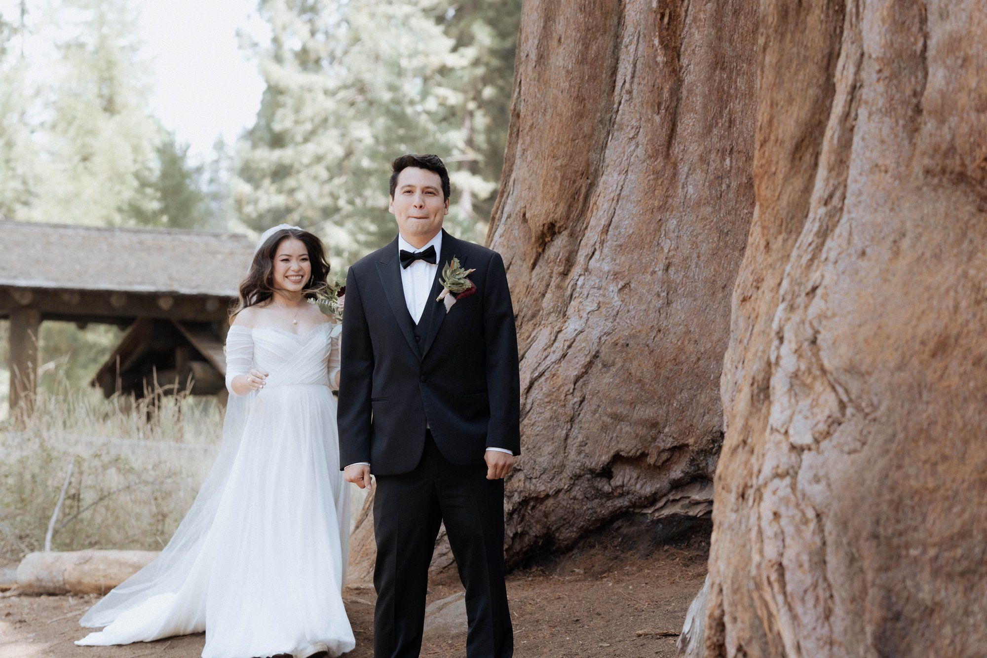 micro wedding in sequoia national park, Family Among the Giant Trees