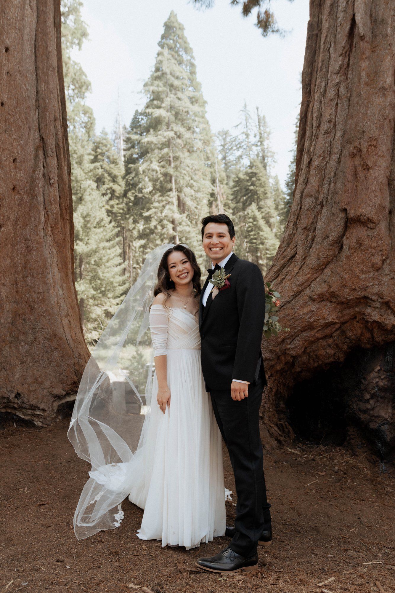 micro wedding in sequoia national park, Family Among the Giant Trees