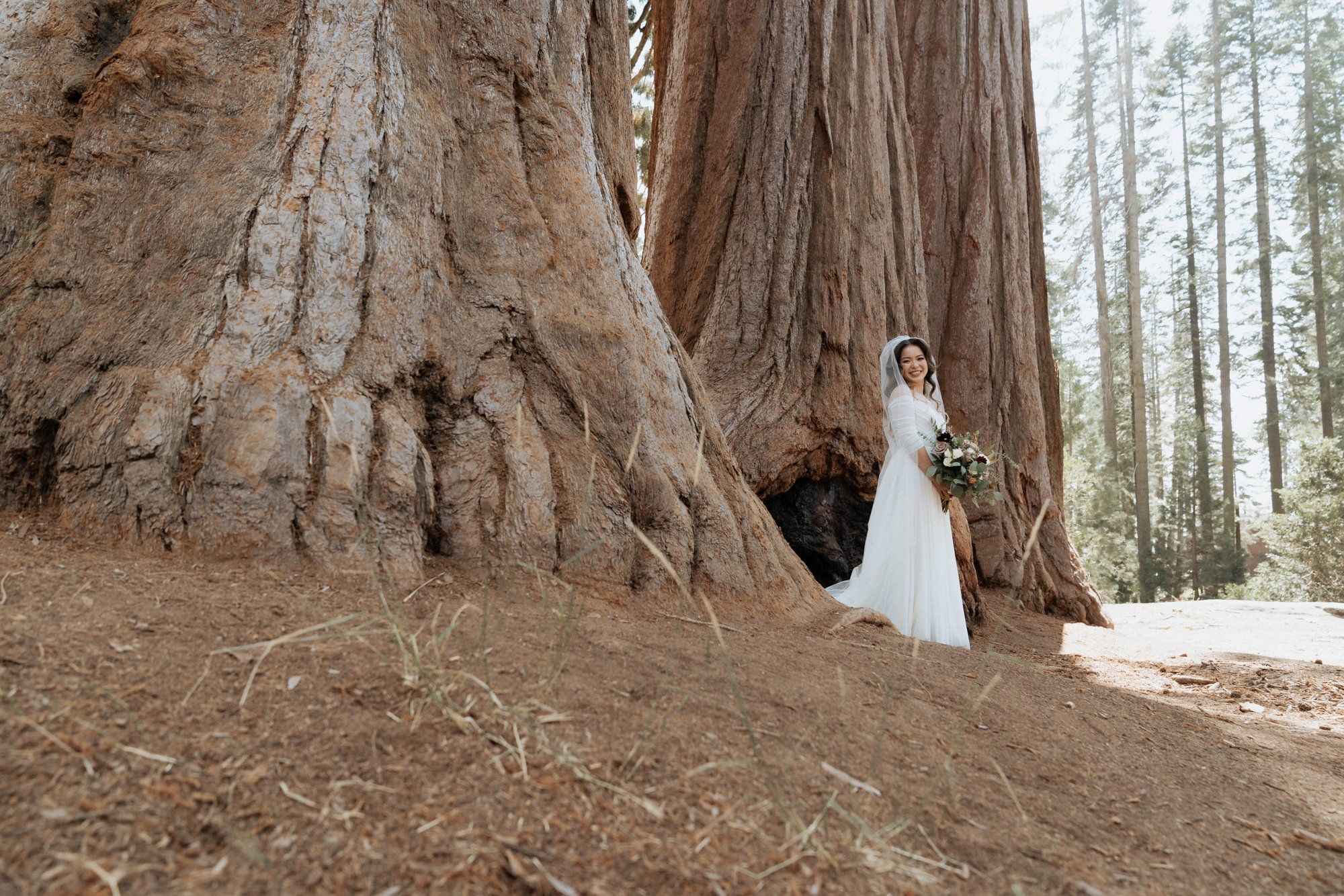 micro wedding in Sequoia National Park, Family Among the Giant Trees