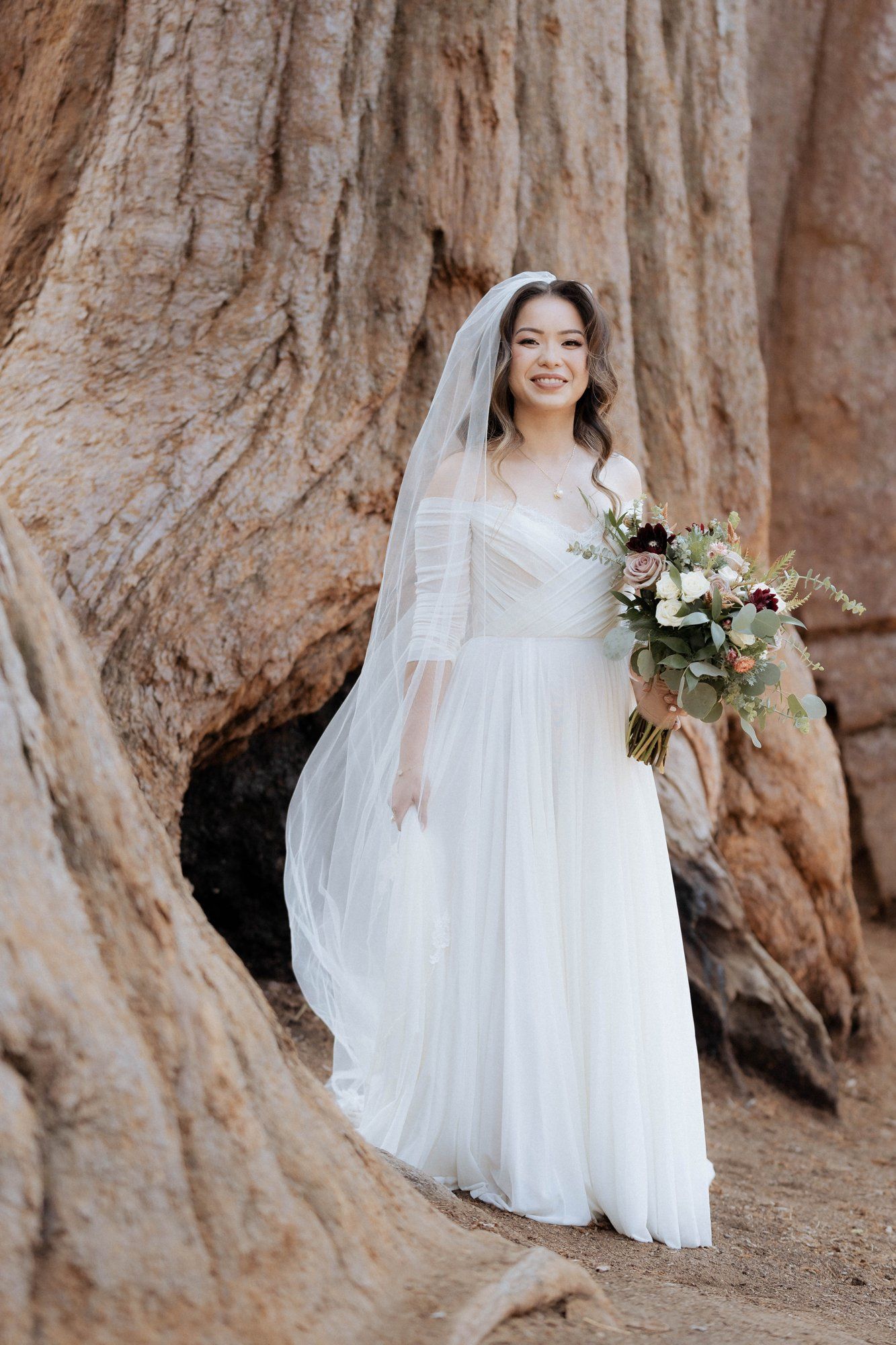 micro wedding in sequoia national park, Family Among the Giant Trees