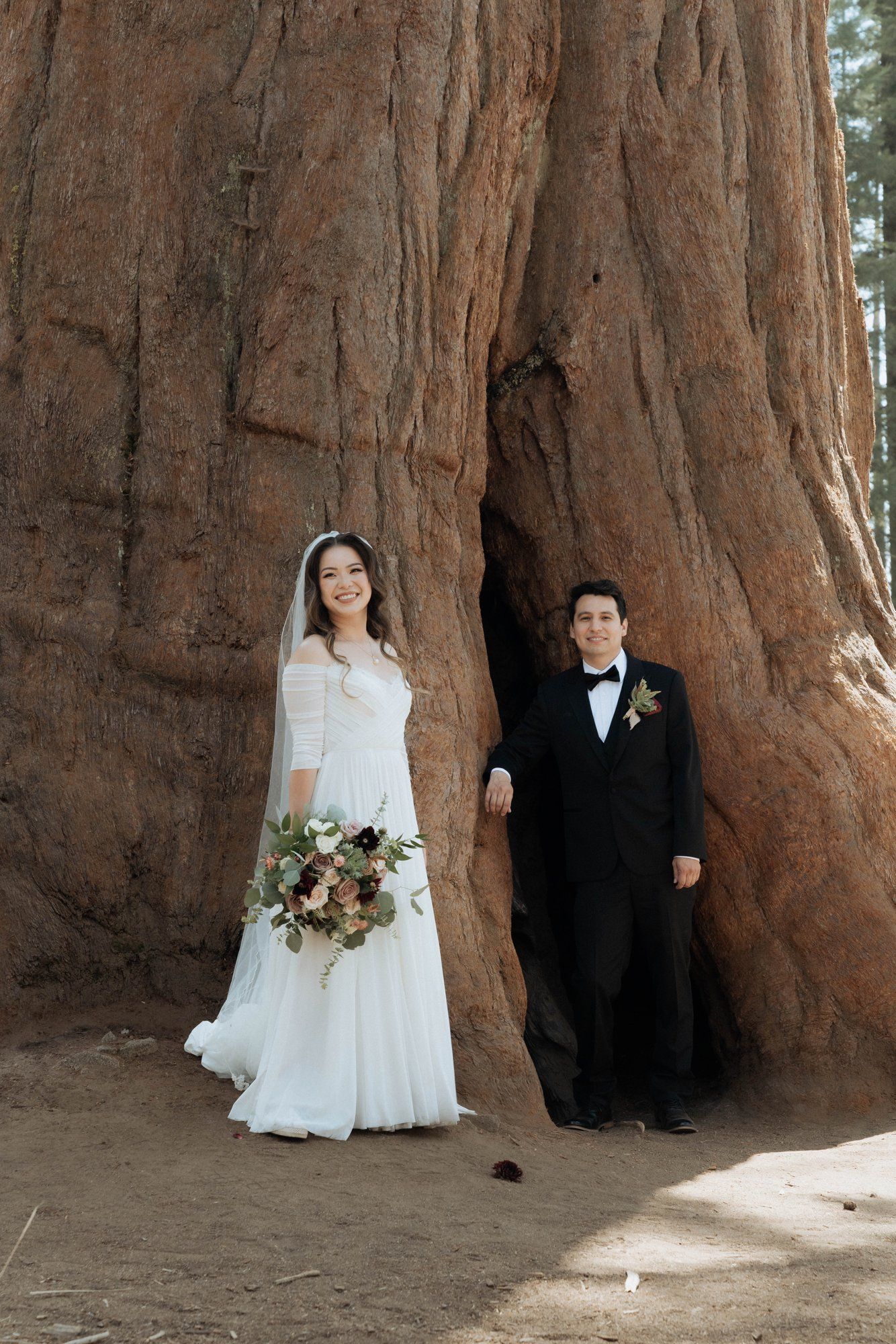 micro wedding in sequoia national park, Family Among the Giant Trees