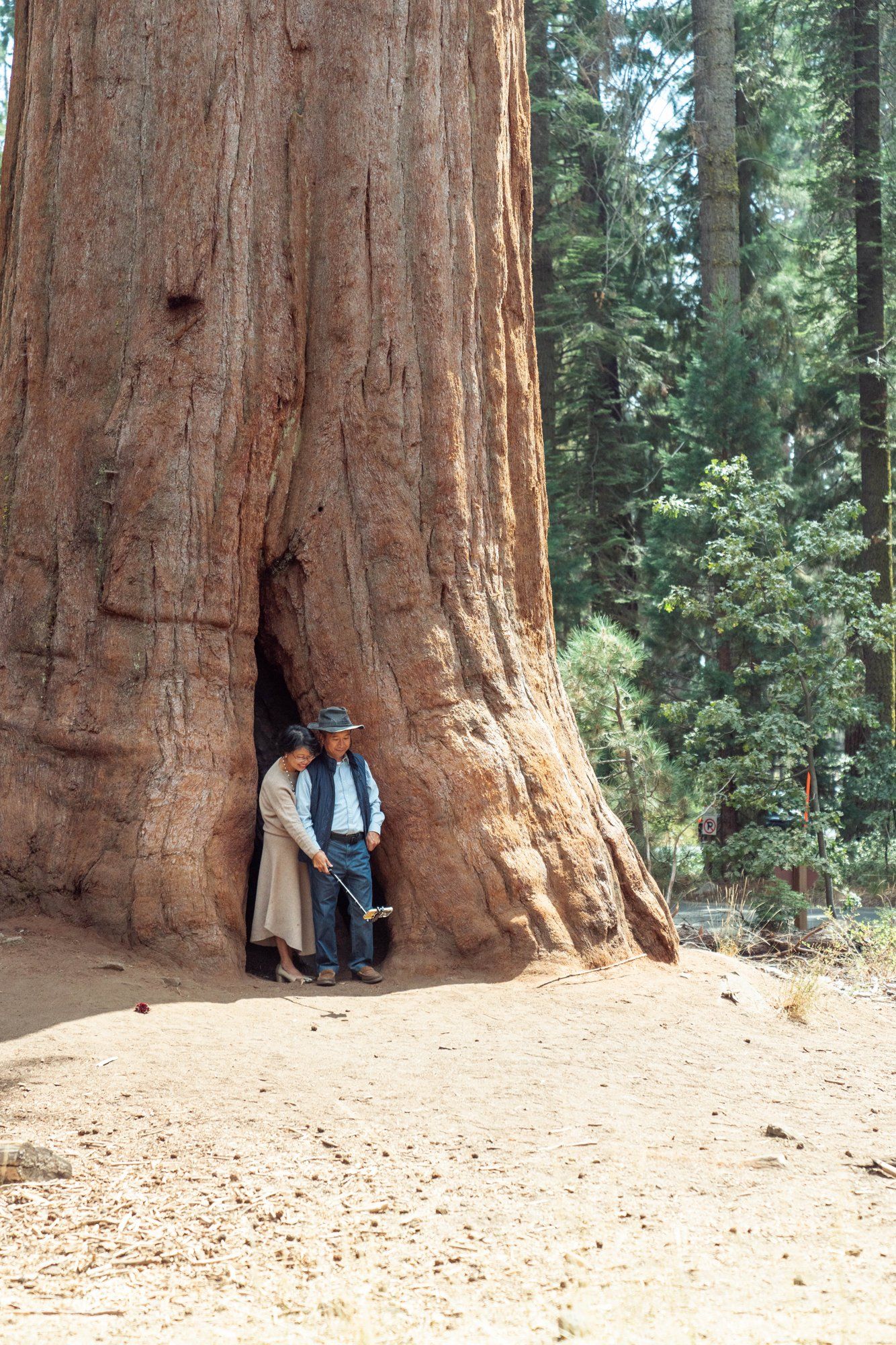 micro wedding in sequoia national park, Family Among the Giant Trees