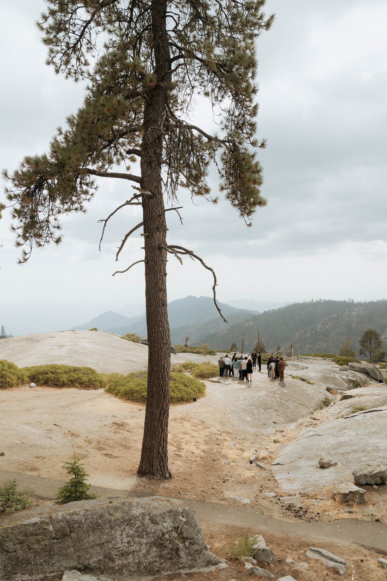 micro wedding in sequoia national park, A Sequoia Forest Ceremony on a Granite Overlook
