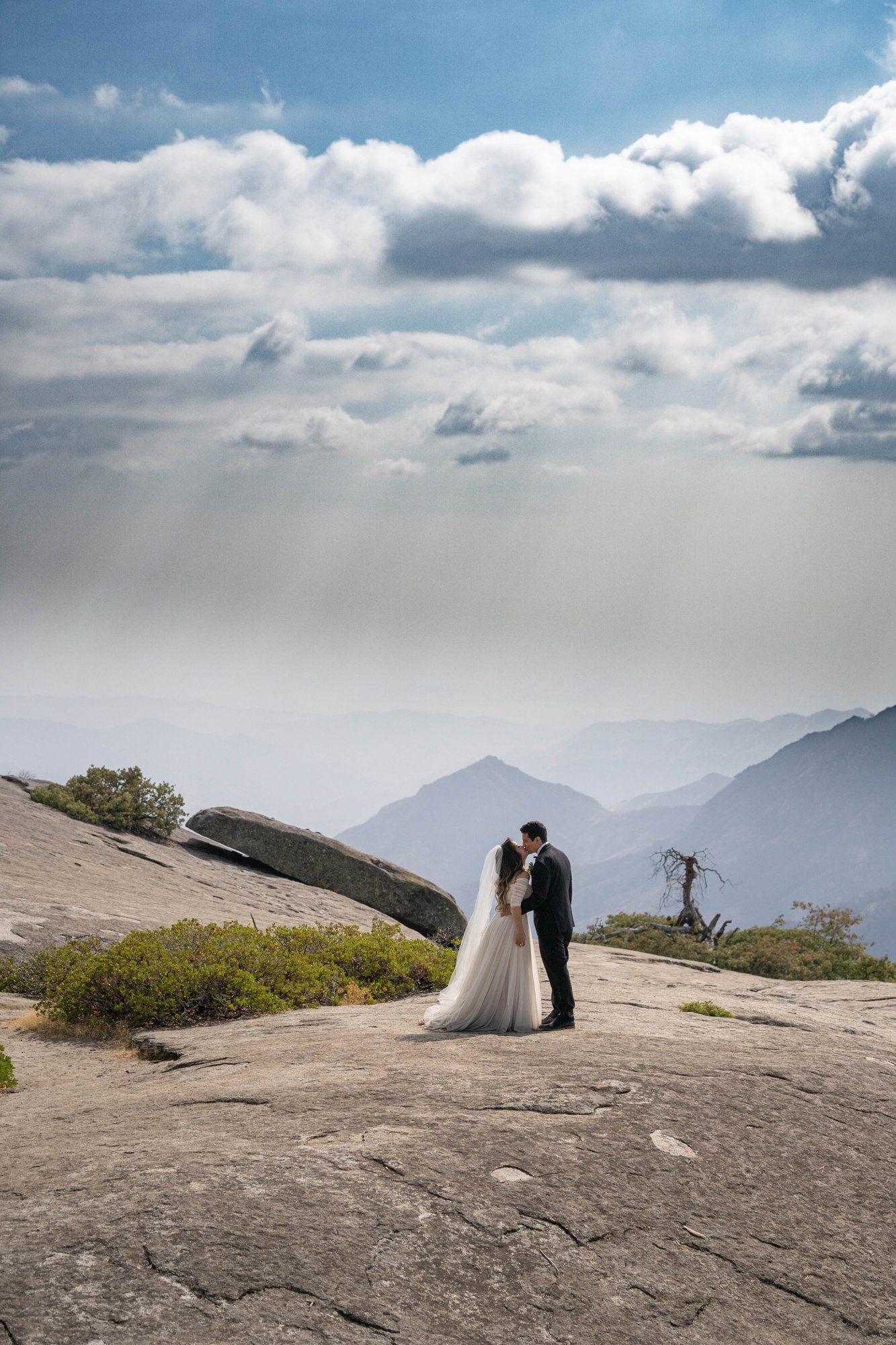 micro wedding in sequoia national park, Family Among the Giant Trees