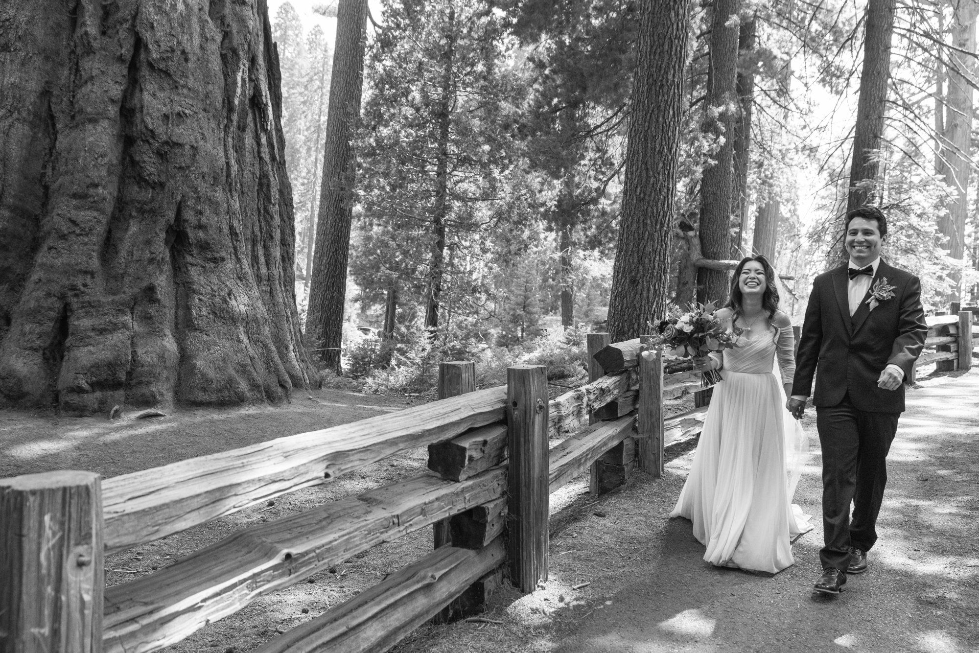 micro wedding in sequoia national park, Family Among the Giant Trees