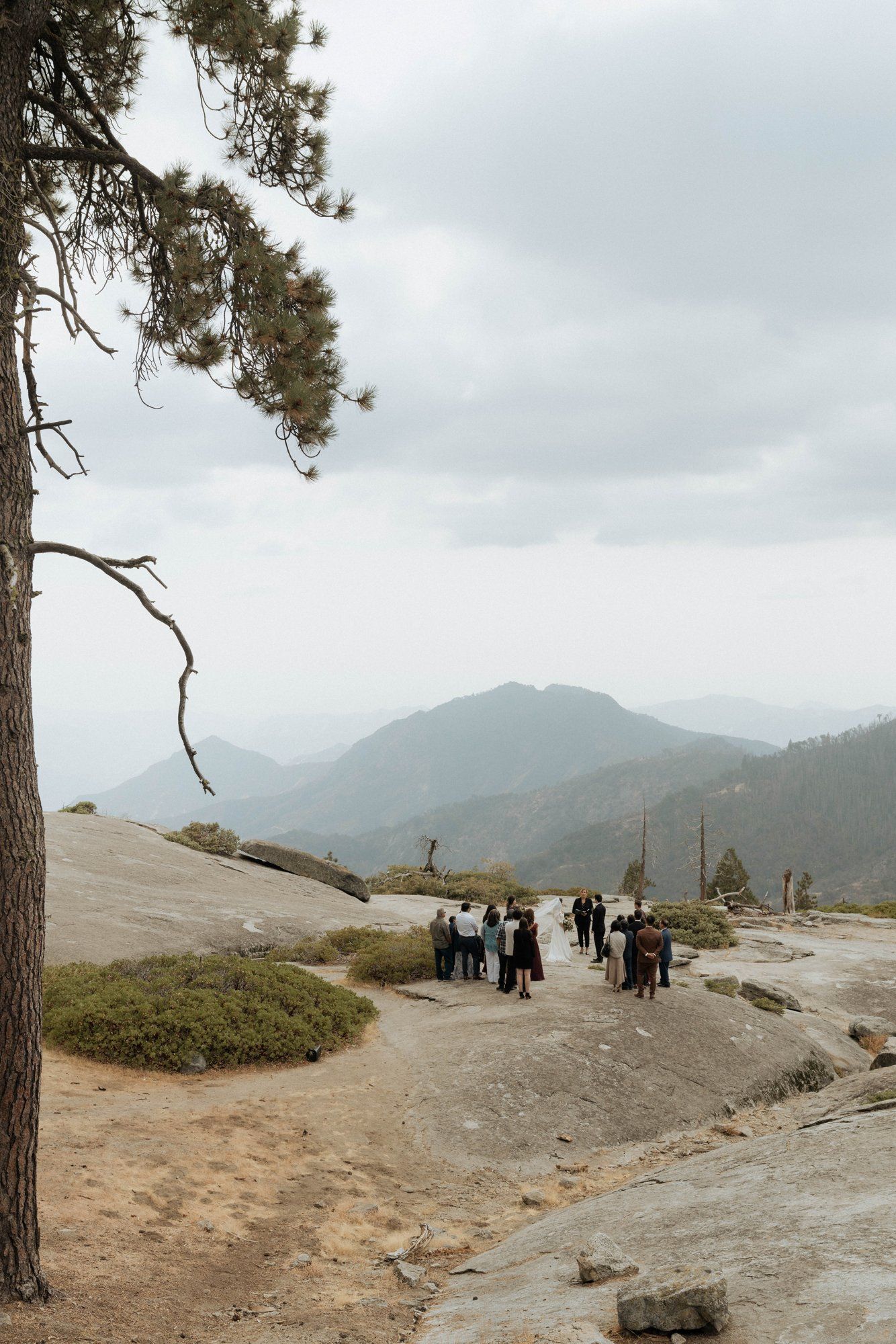 micro wedding in sequoia national park, A Sequoia Forest Ceremony on a Granite Overlook