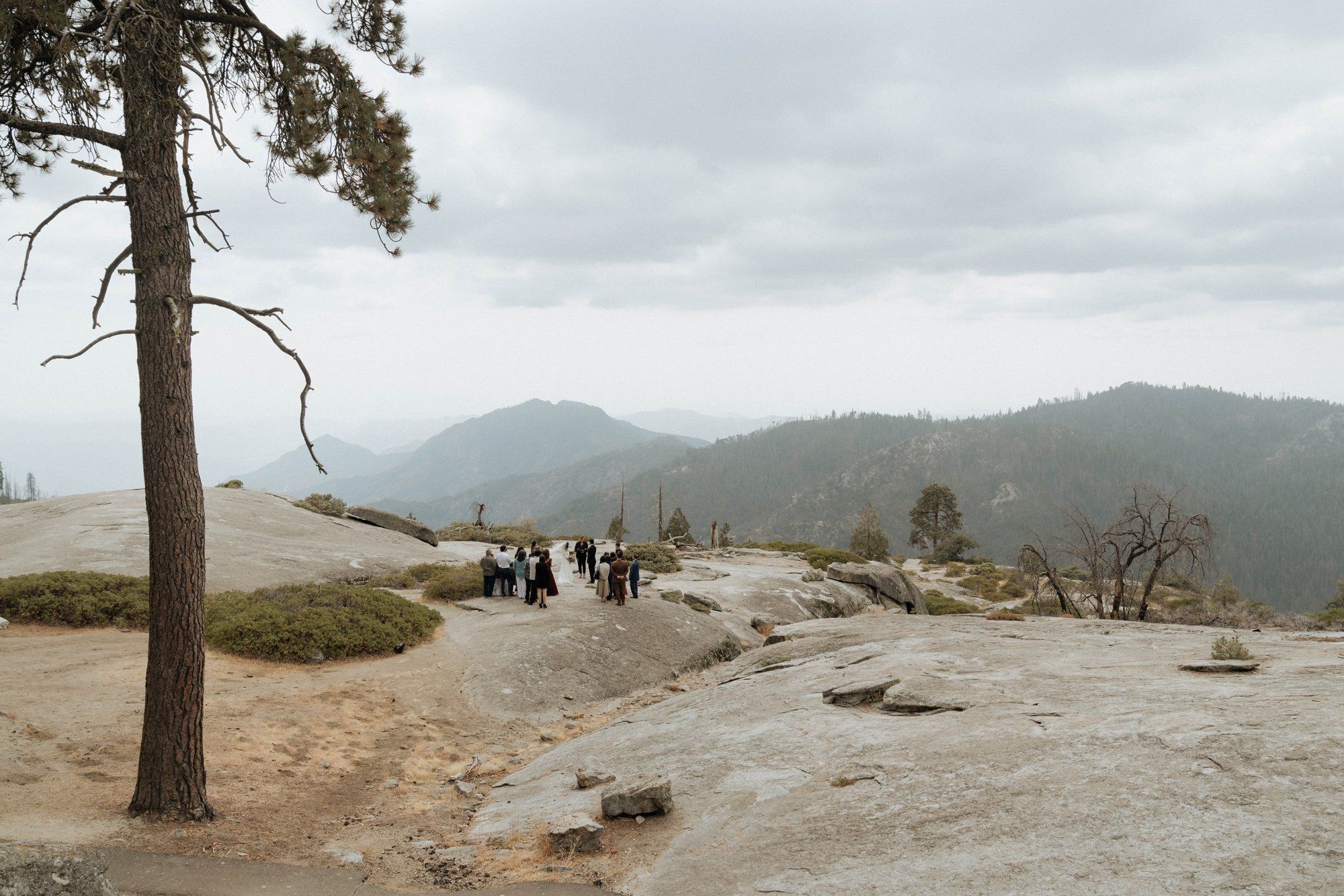 micro wedding in sequoia national park, A Sequoia Forest Ceremony on a Granite Overlook