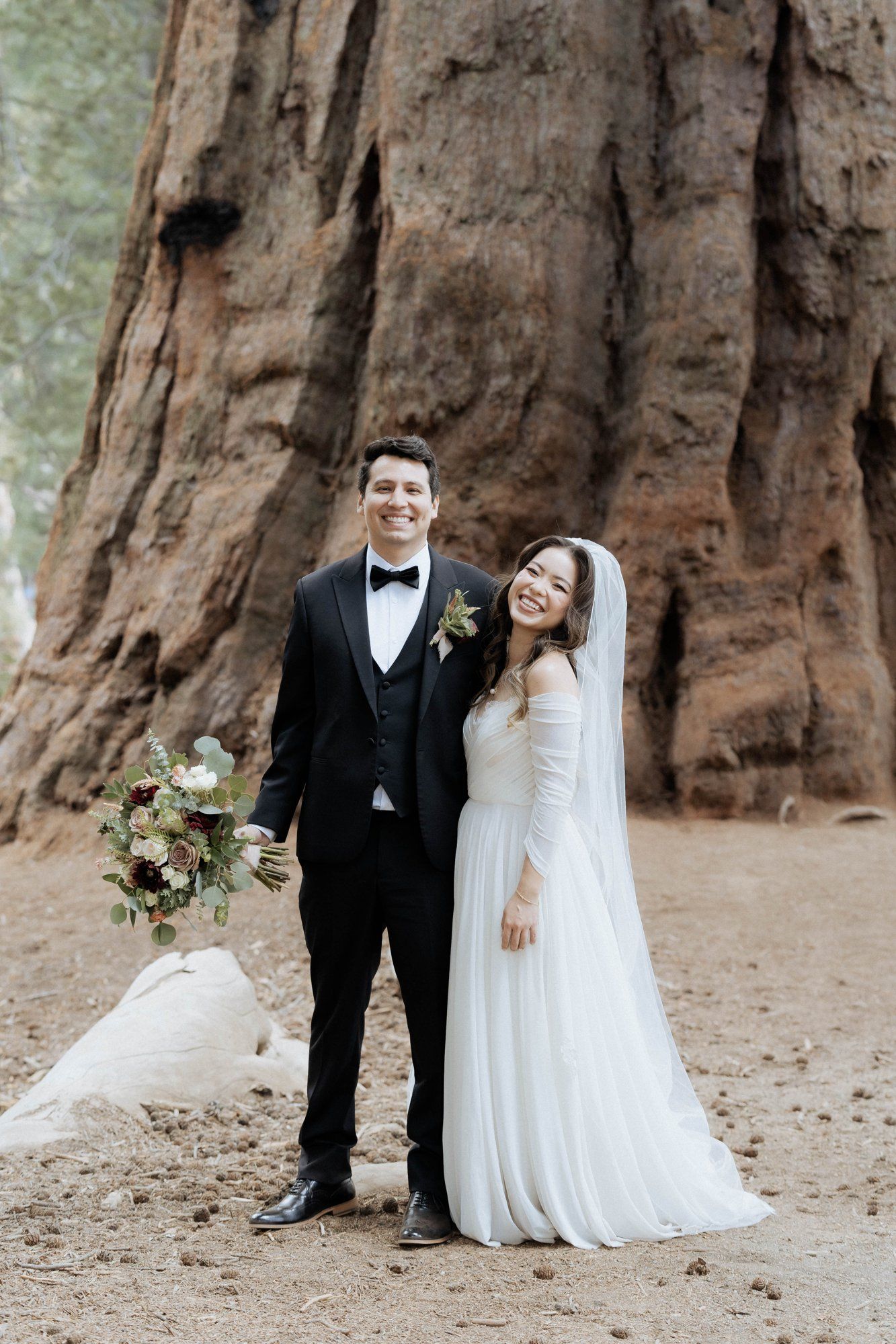 micro wedding in sequoia national park, Family Among the Giant Trees