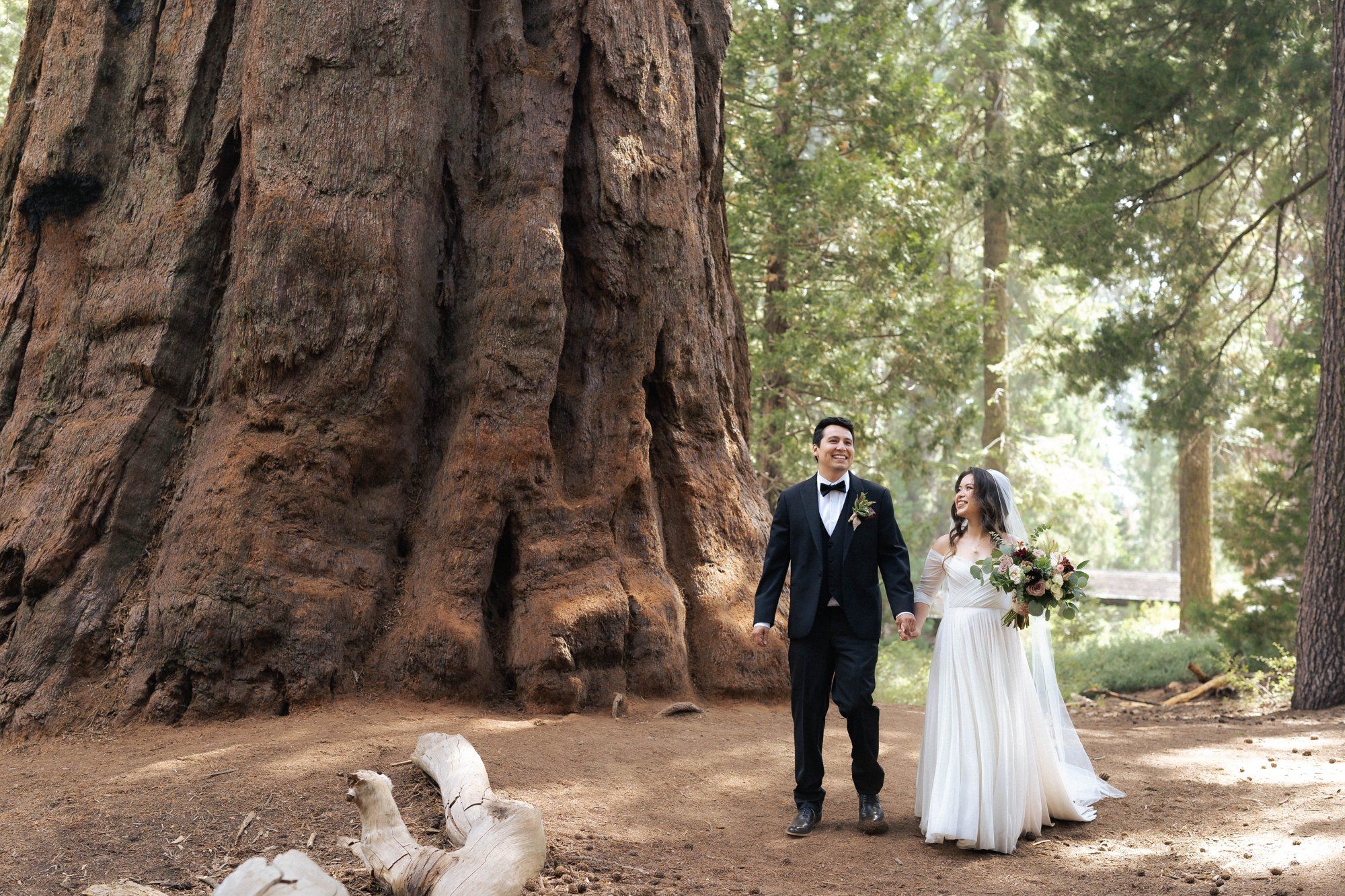 micro wedding in sequoia national park, Family Among the Giant Trees