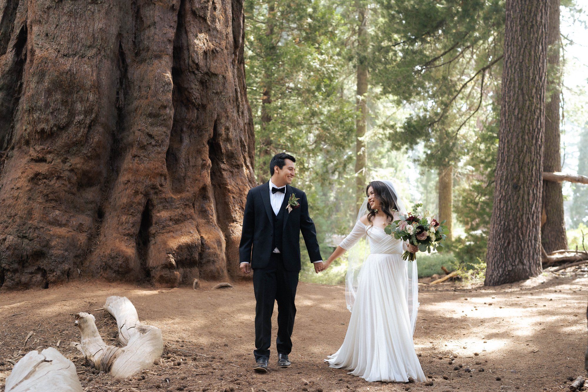 micro wedding in sequoia national park, Family Among the Giant Trees