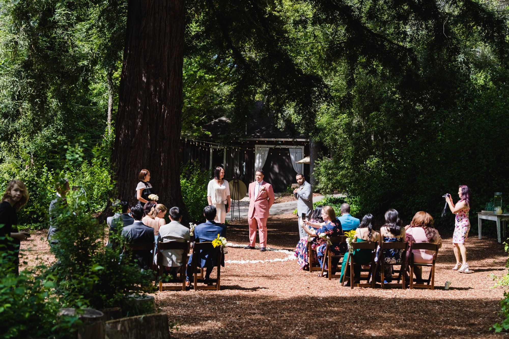 multicultural spring wedding at sand rock farm, Vows in the Redwood Grove, a 20-Guest Spring Redwood Ceremony