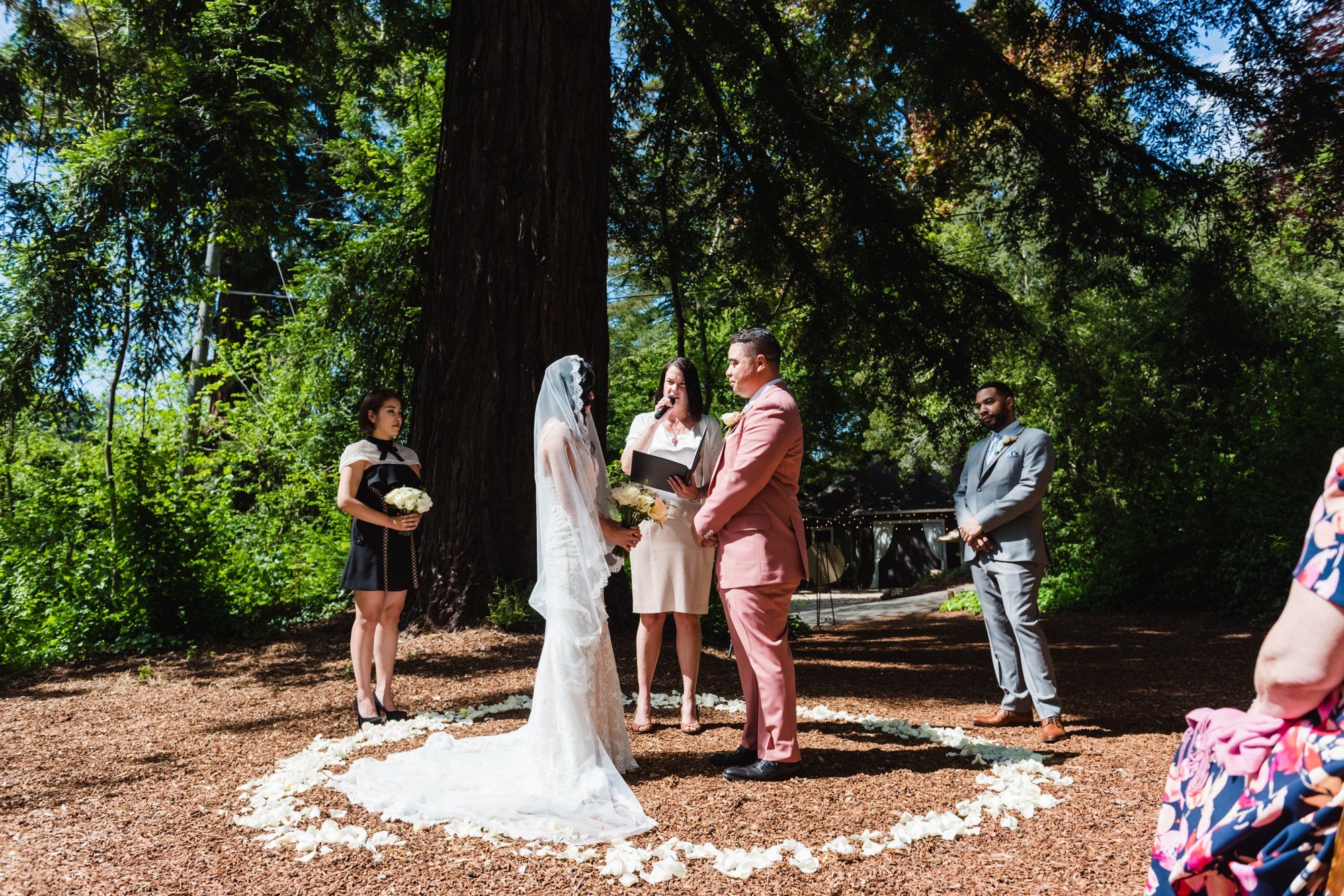 multicultural spring wedding at sand rock farm, Vows in the Redwood Grove, a 20-Guest Spring Redwood Ceremony